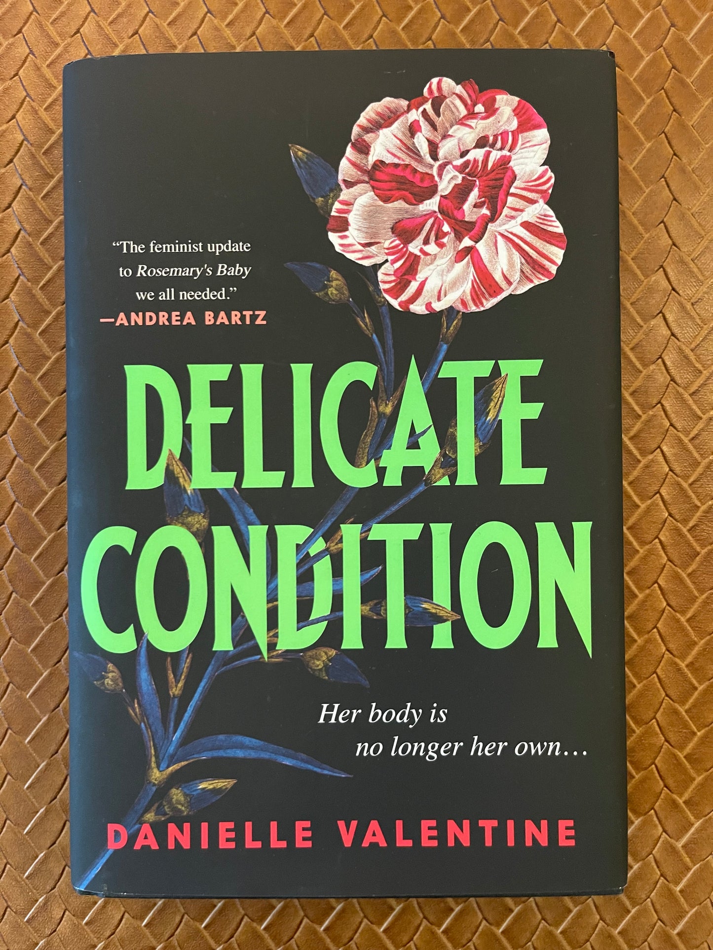 Delicate Condition by Danielle Valentine (Hardcover)