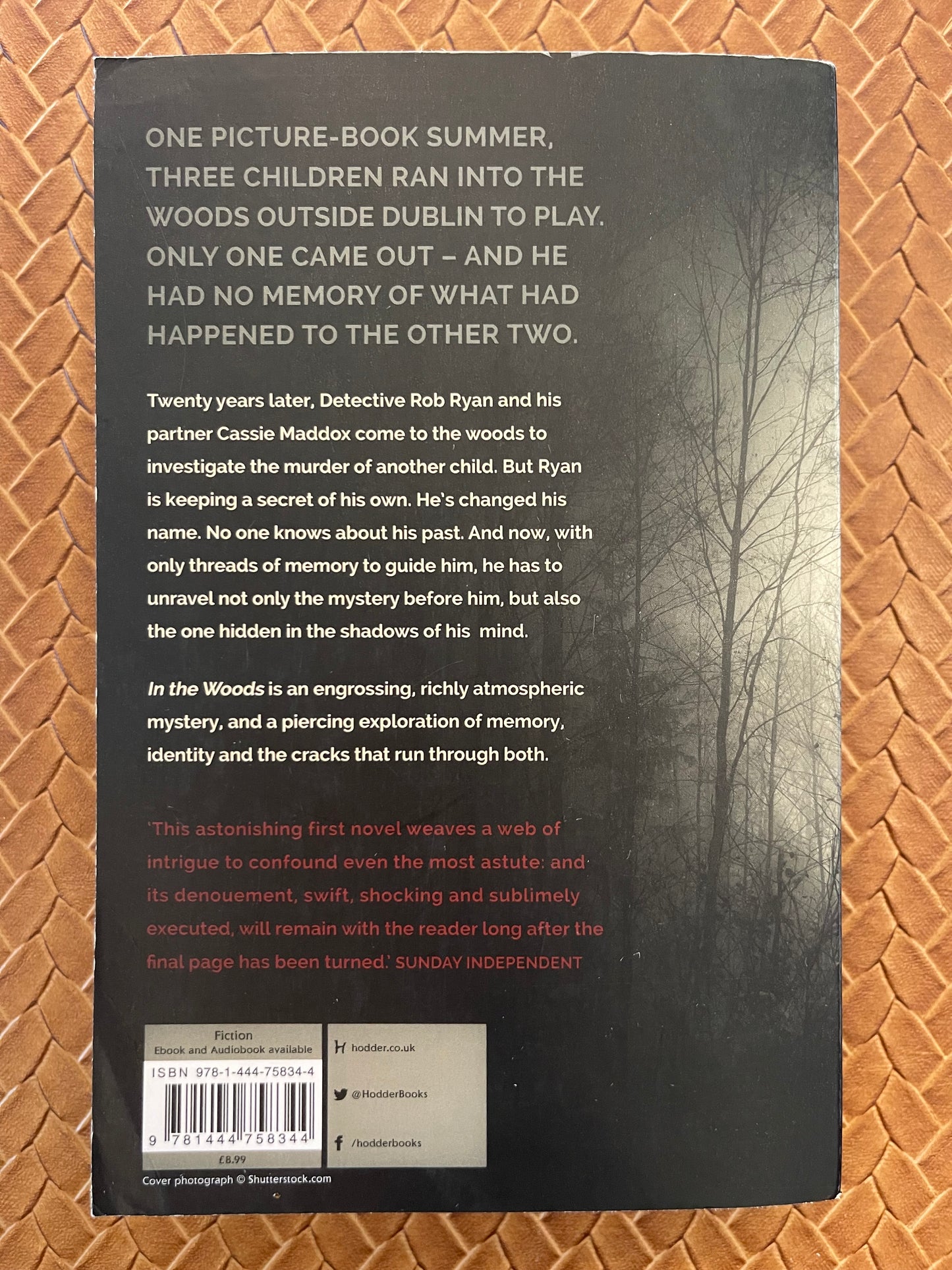 Dublin Murder Squad #1: In the Woods by Tana French (Paperback)