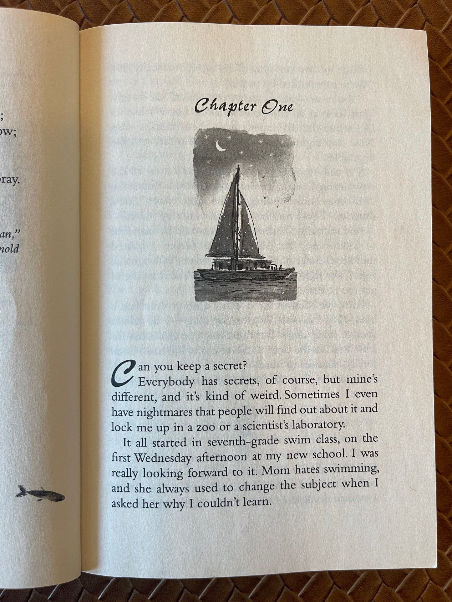 Emily Windsnap #1: The Tail of Emily Windsnap by Liz Kessler, Sarah Gibb (Illustrations)