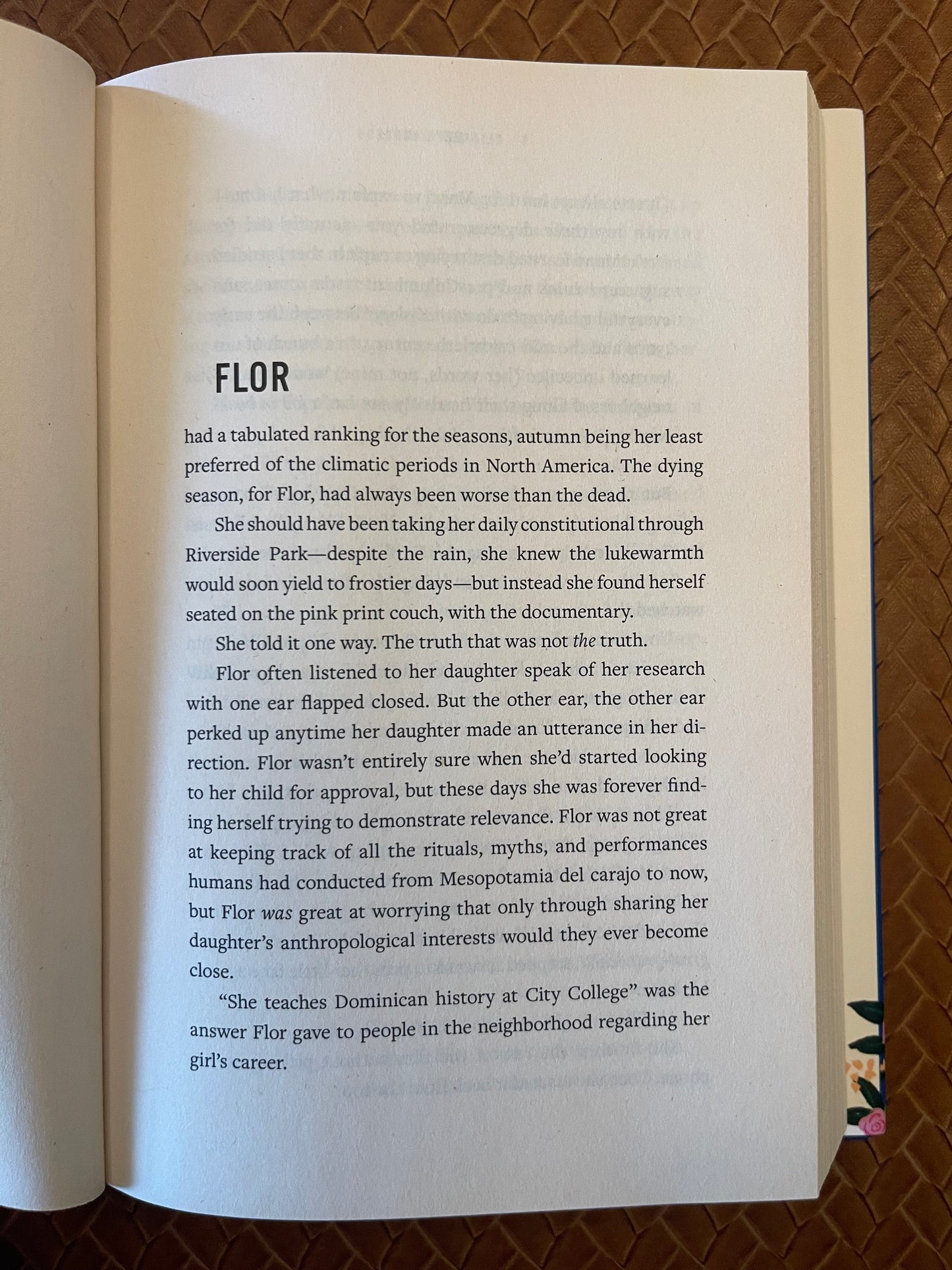 Family Lore by Elizabeth Acevedo (Hardcover)