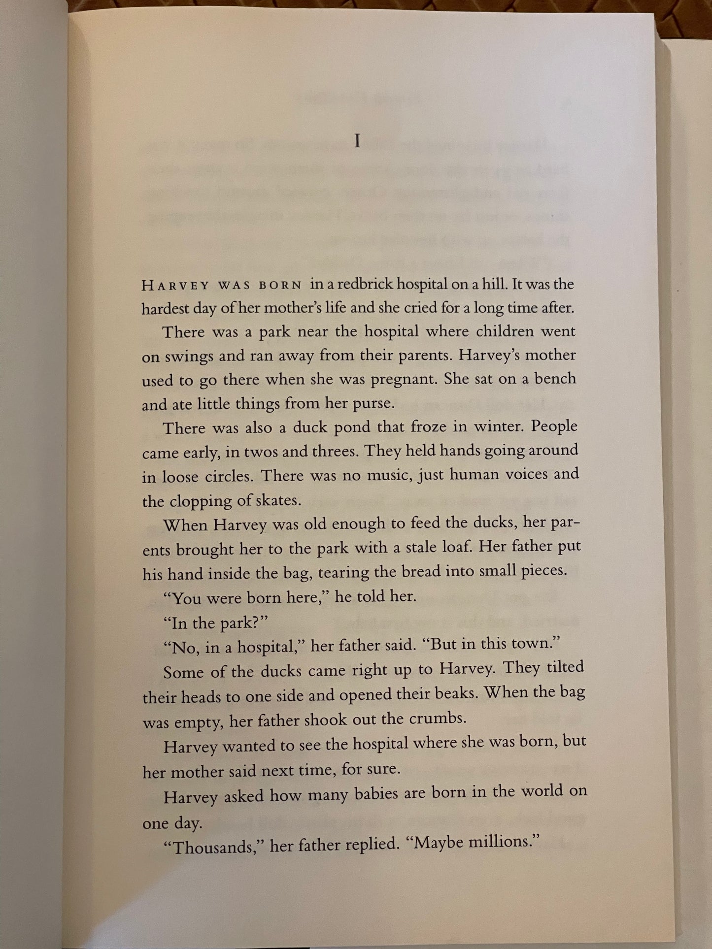 Father's Day: A Novel by Simon Van Booy (Hardcover)
