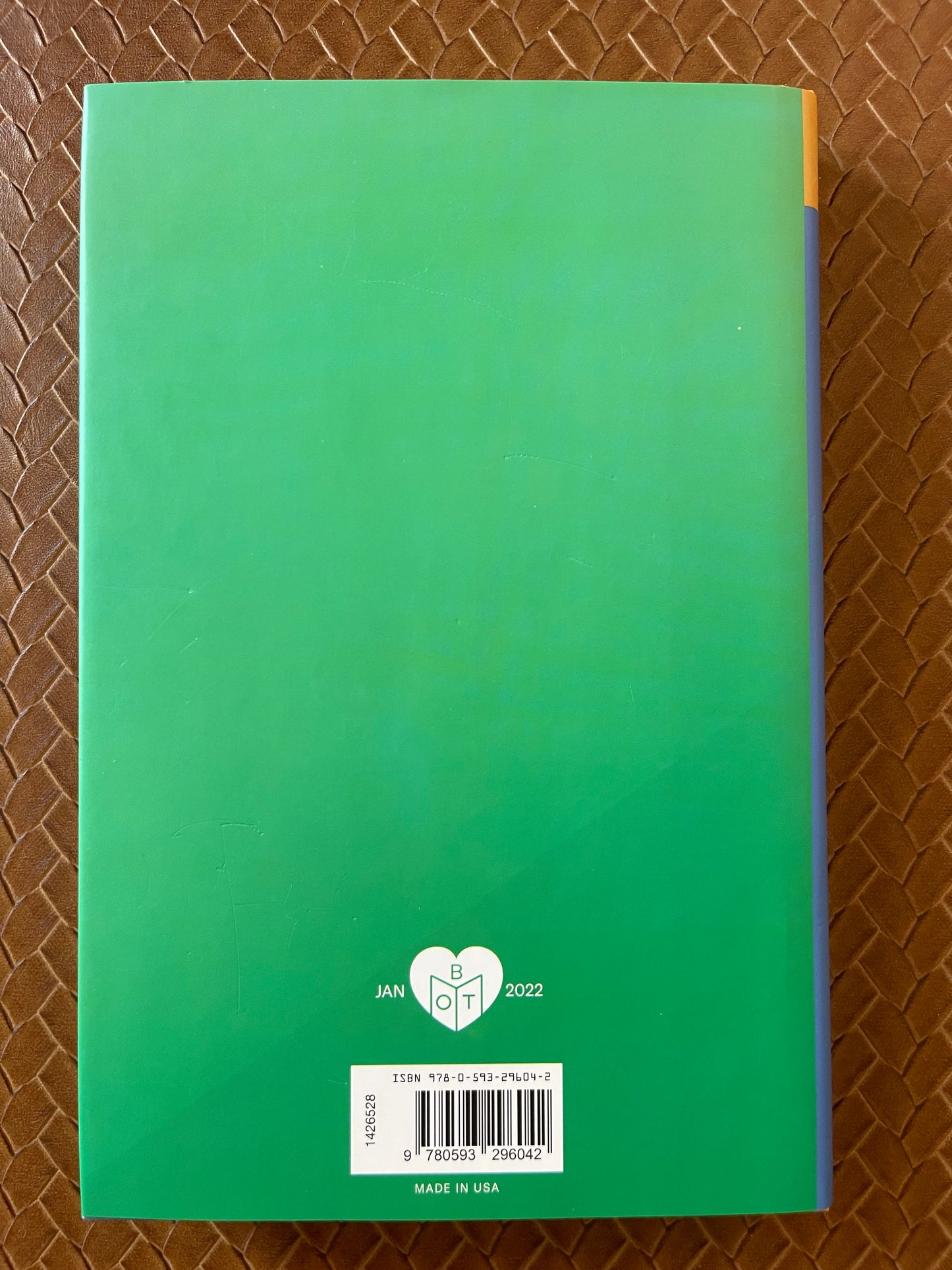 Fiona and Jane by Jean Chen Ho (Hardcover)
