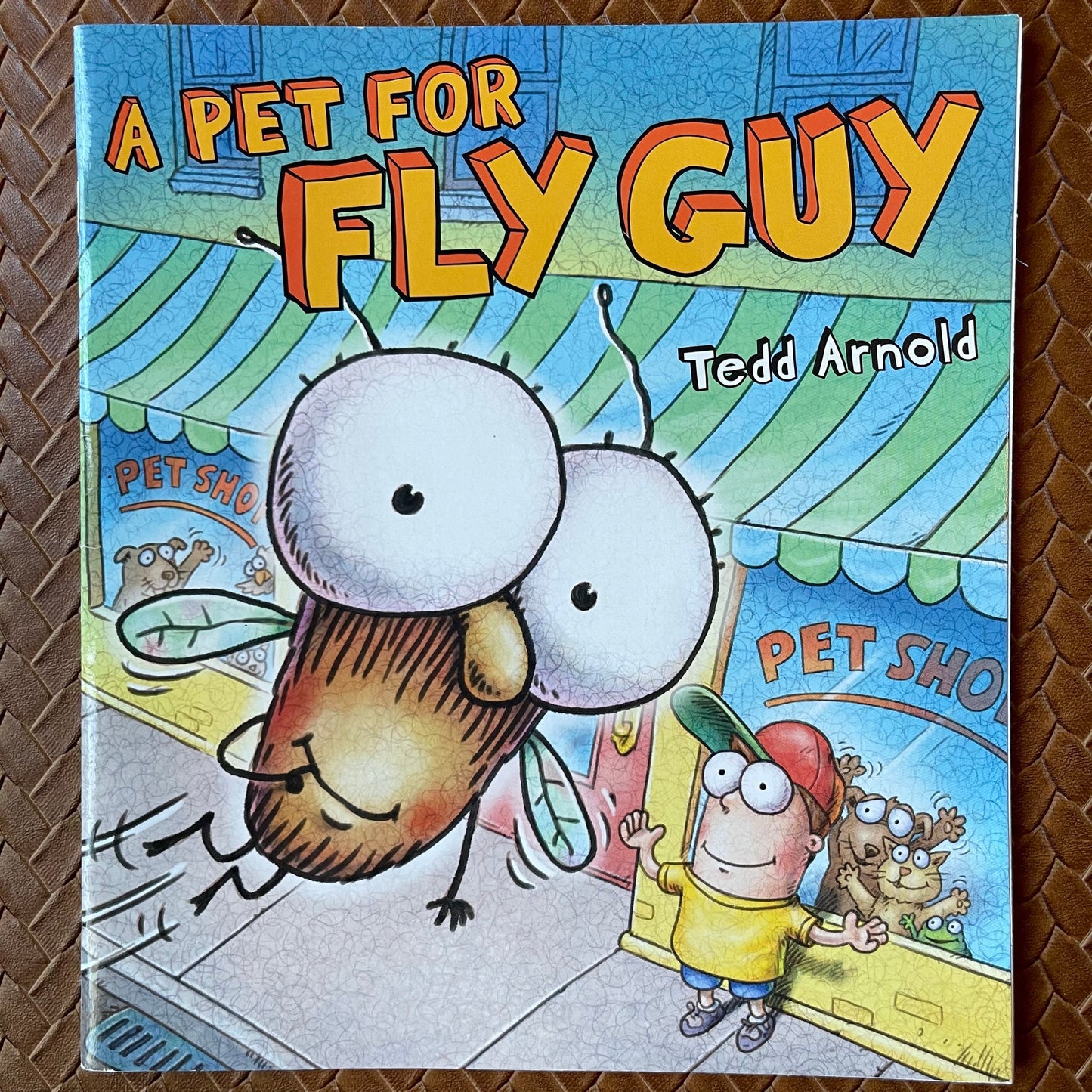 A Pet for Fly Guy (Fly Guy #15) by Tedd Arnold