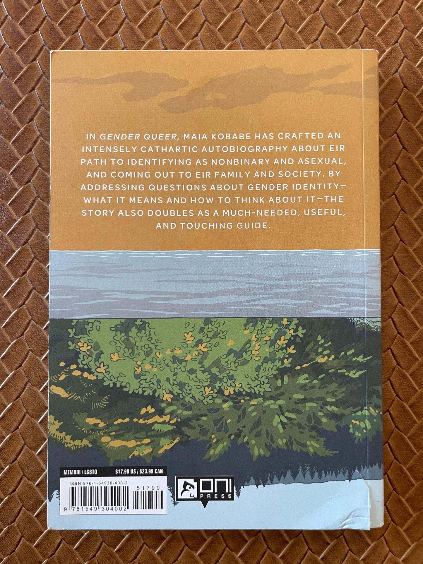Gender Queer: A Memoir by Maia Kobabe (Paperback)