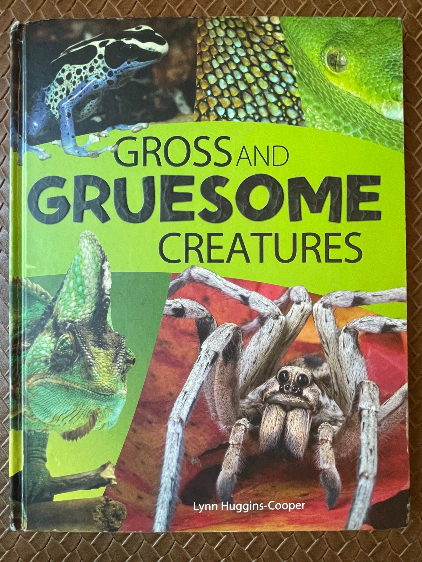 Gross and Gruesome Creatures by Lynn Huggins-Cooper
