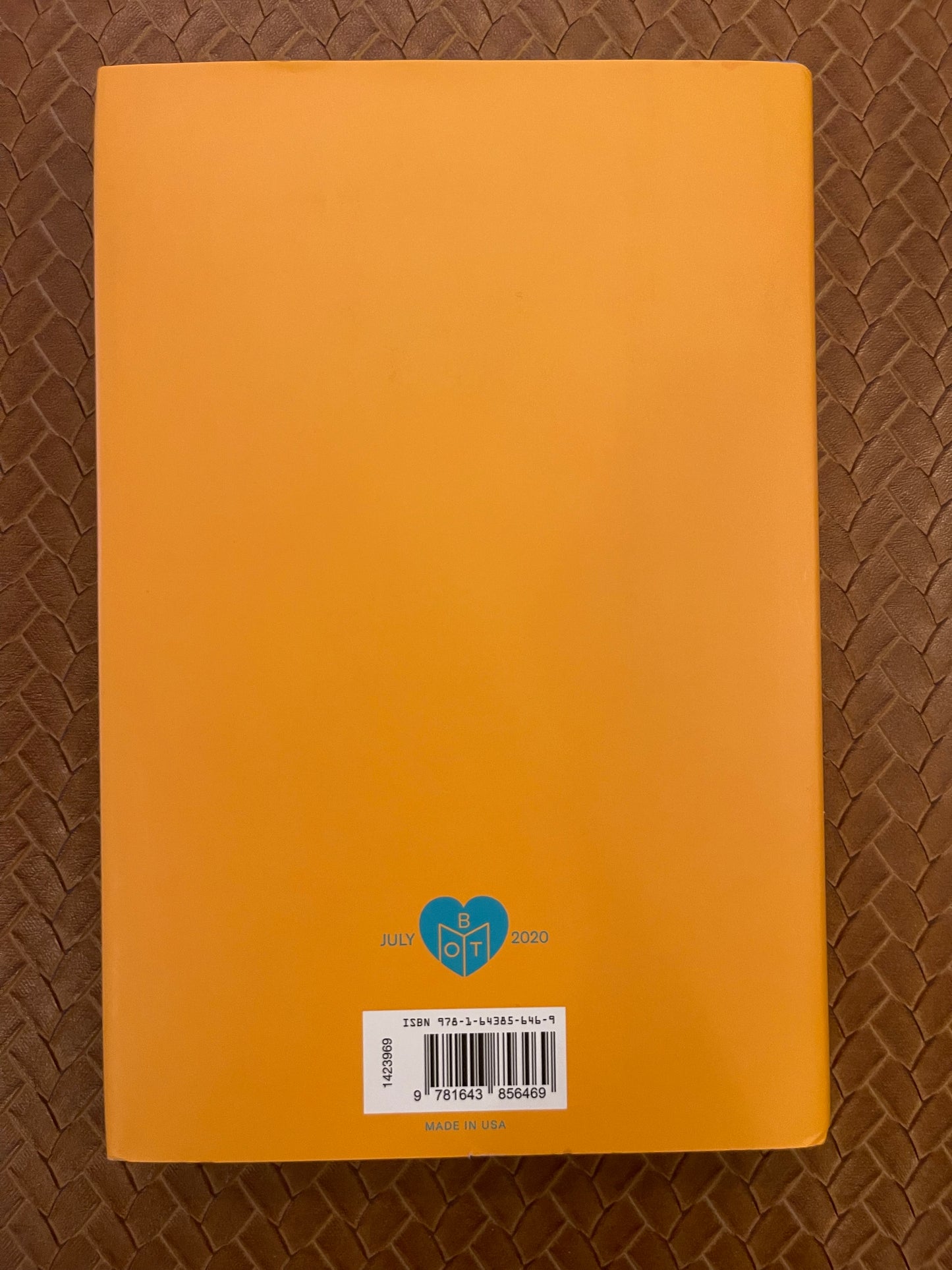 Head over Heels by Hannah Orenstein (Hardcover)