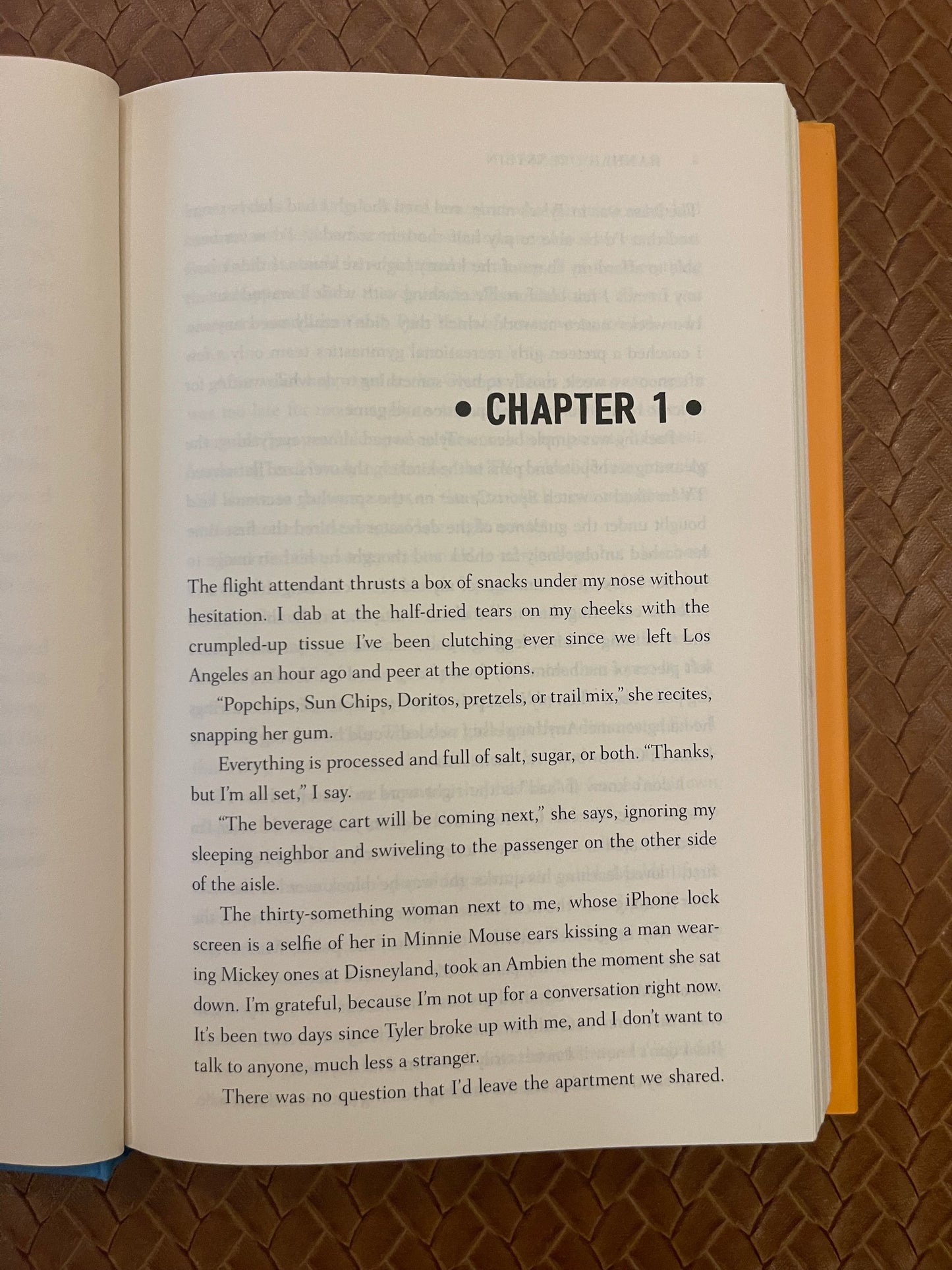 Head over Heels by Hannah Orenstein (Hardcover)