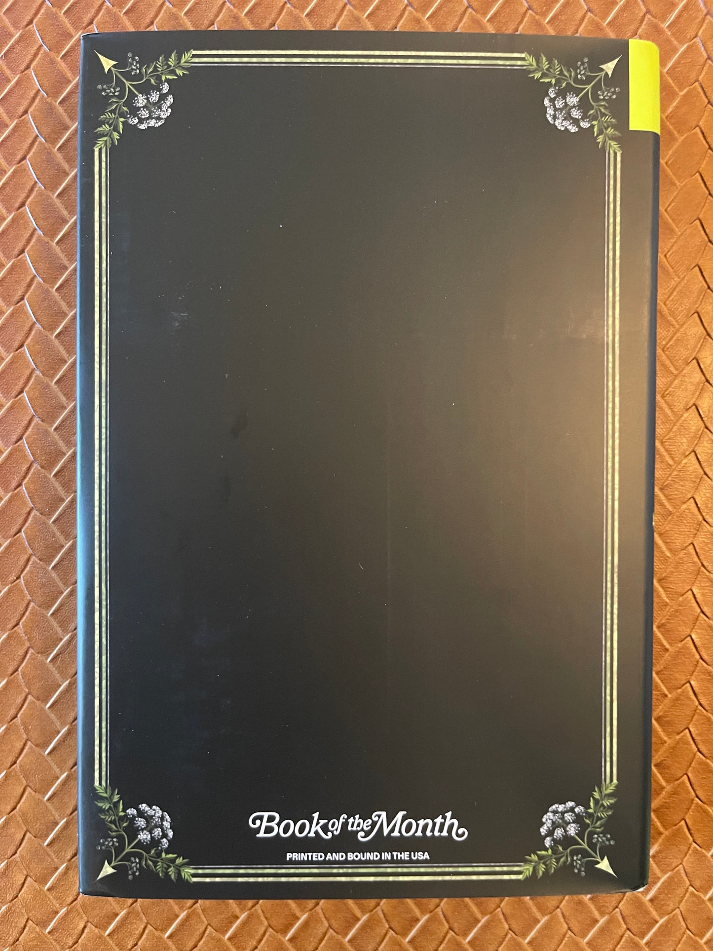 Hemlock & Silver by T. Kingfisher (Hardcover)