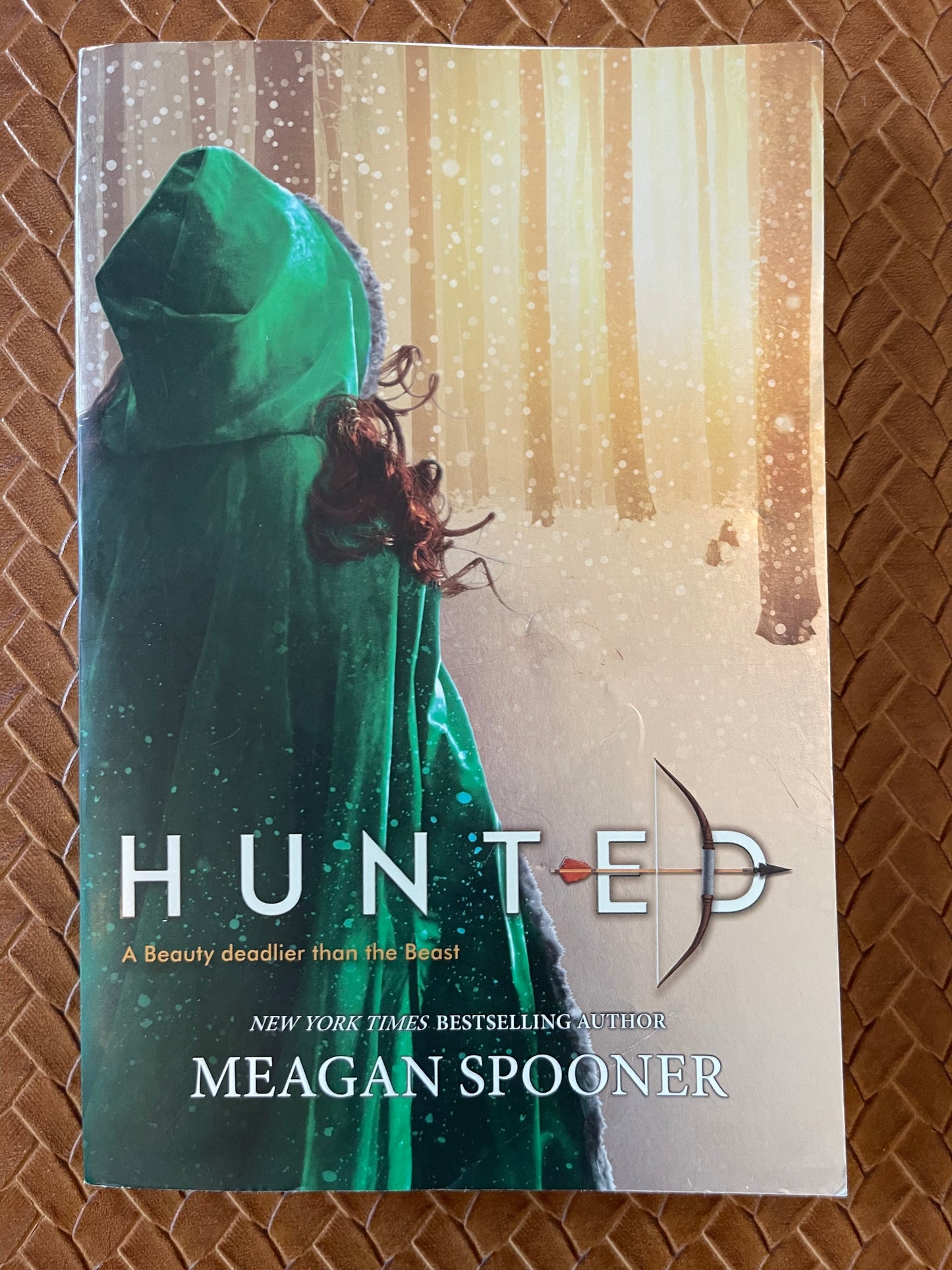 Hunted by Meagan Spooner (Paperback)