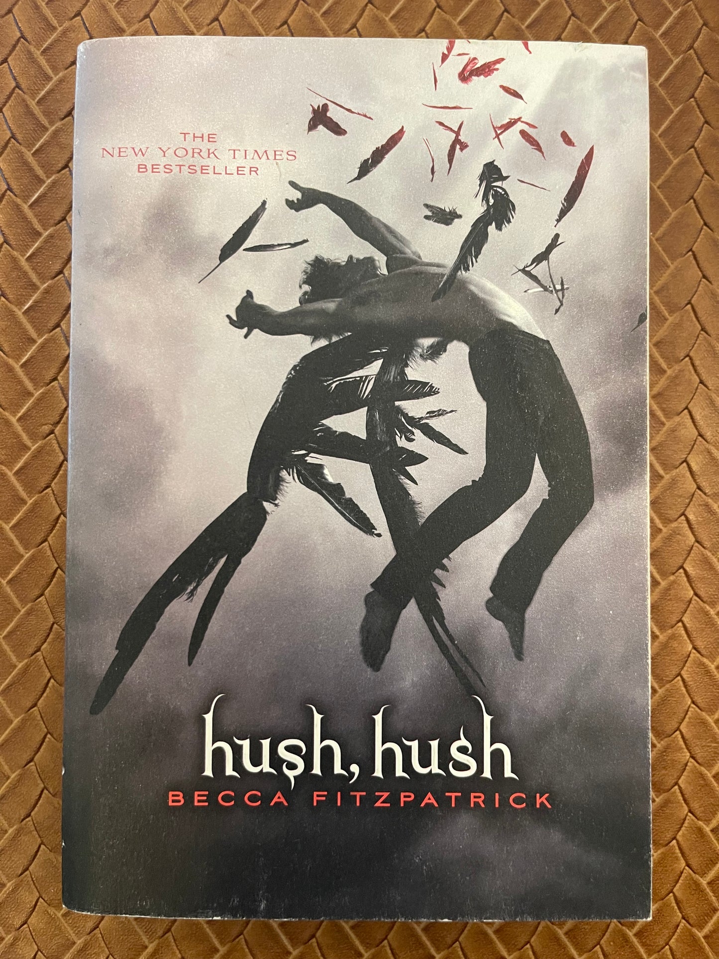 Hush, Hush #1: Hush, Hush by Becca Fitzpatrick (Paperback)