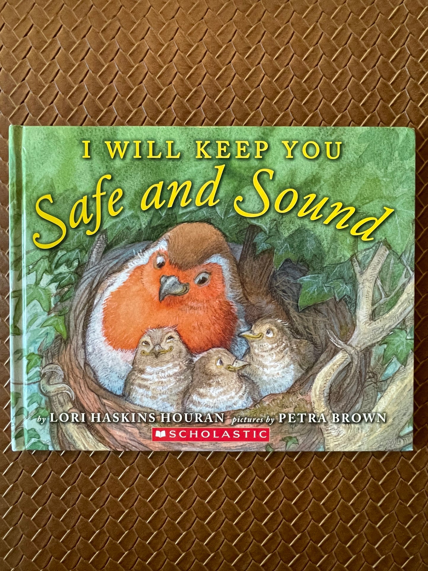 I Will Keep You Safe and Sound by Lori Haskins (Hardcover)
