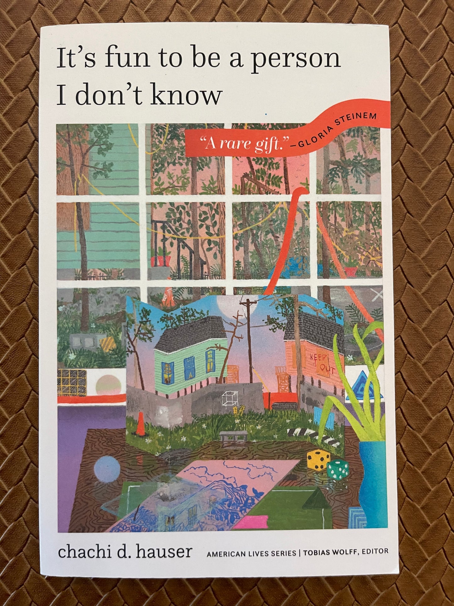 It's Fun to Be a Person I Don't Know (American Lives) by Chachi D. Hauser (Paperback)