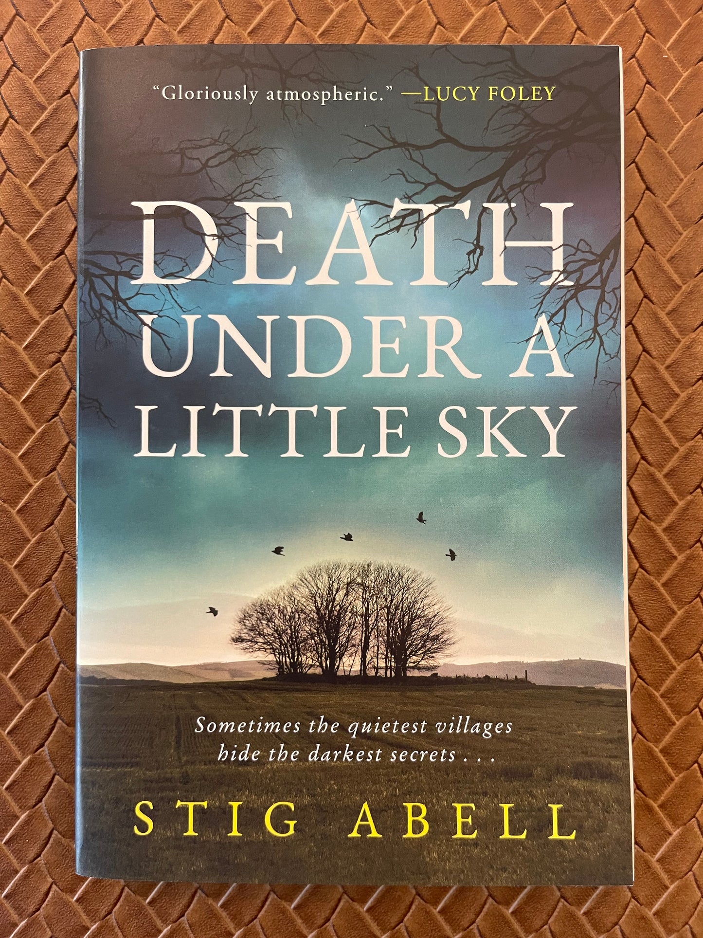 Jake Jackson #1: Death Under a Little Sky by Stig Abell (Paperback)