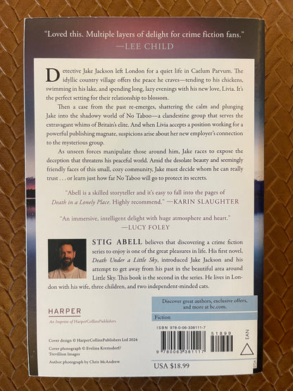 Death in a Lonely Place by Stig Abell (Paperback)