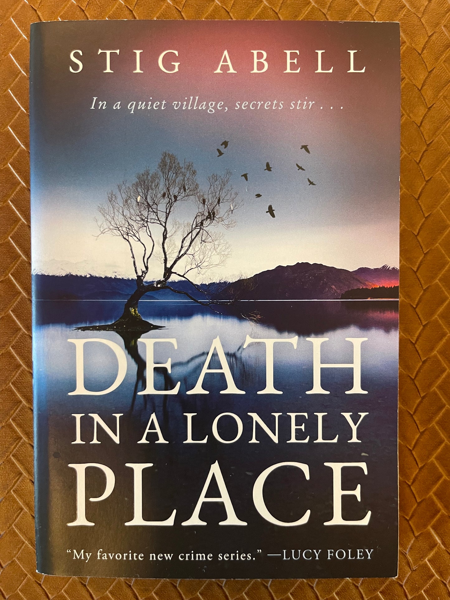 Death in a Lonely Place by Stig Abell (Paperback)