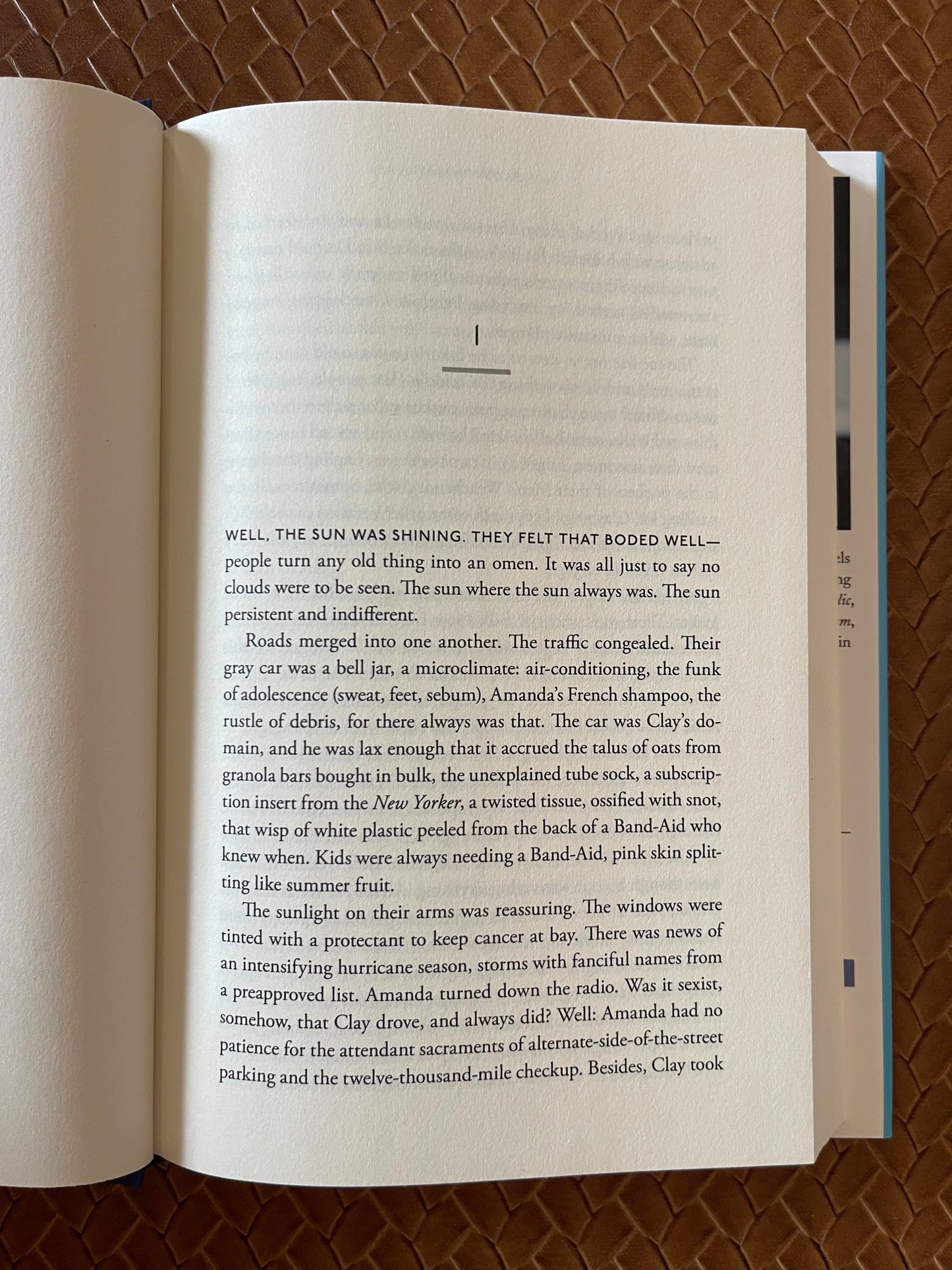 Leave the World Behind by Rumaan Alam Barnes & Noble Book Club Exclusive (Hardcover)