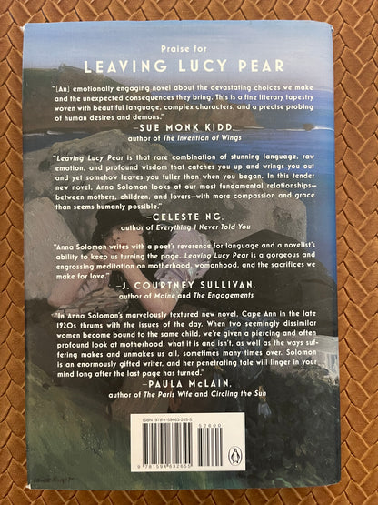 Leaving Lucy Pear by Anna Solomon (Hardcover)