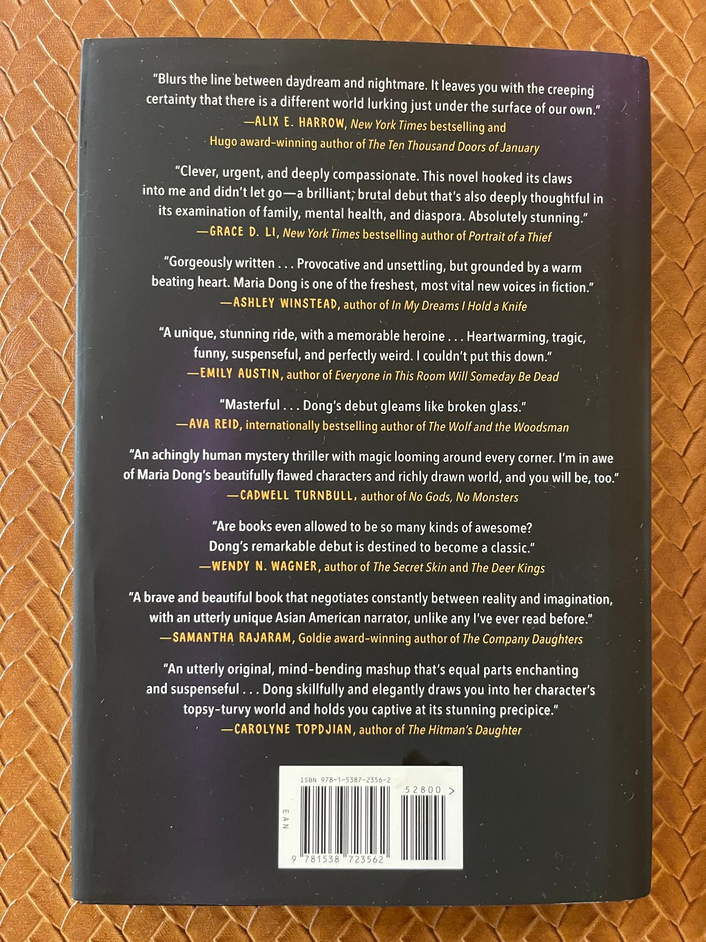 Liar, Dreamer, Thief by Maria Dong (Hardcover)