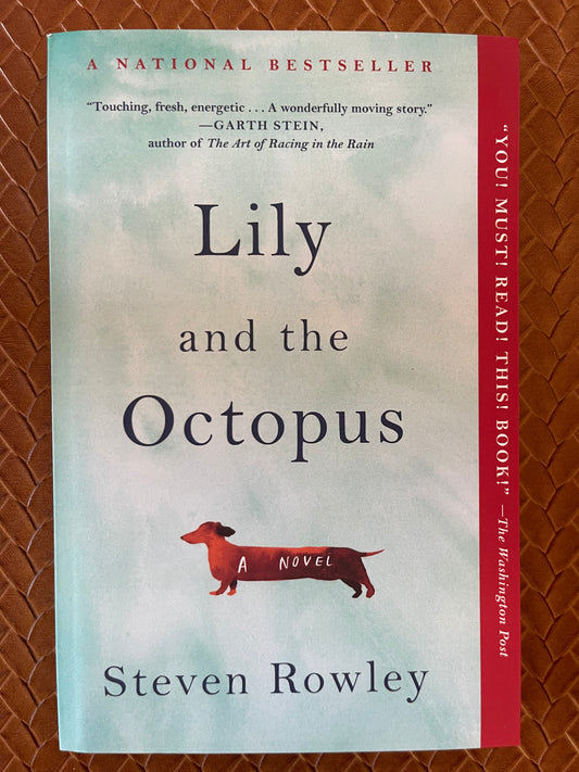 Lily and the Octopus by Steven Rowley (Paperback)
