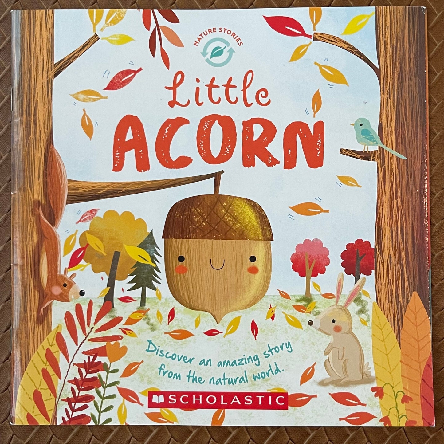 Little Acorn by Melanie Joyce, Gina Maldonado (illustrator)