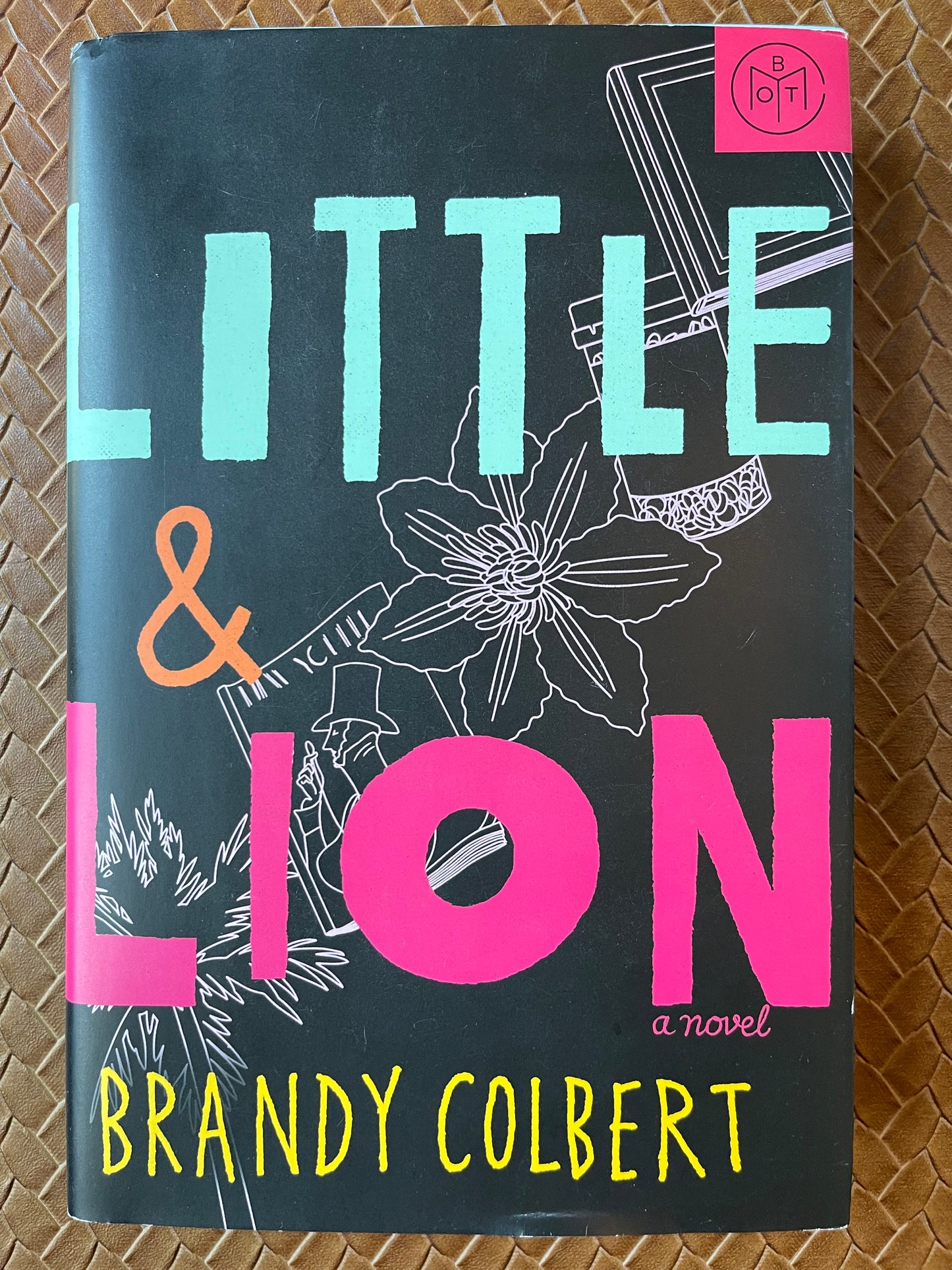 Little & Lion by Brandy Colbert (Hardcover)