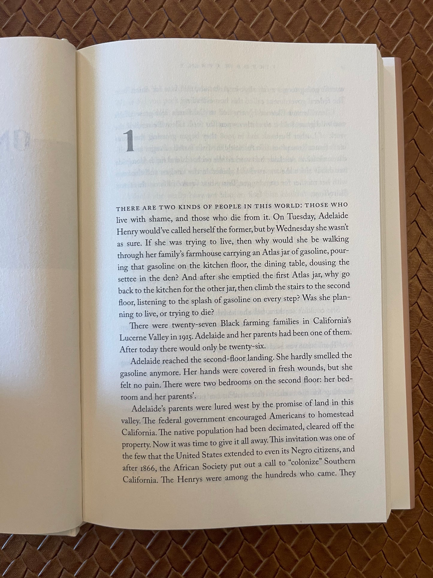 Lone Women by Victor LaValle (Hardcover)