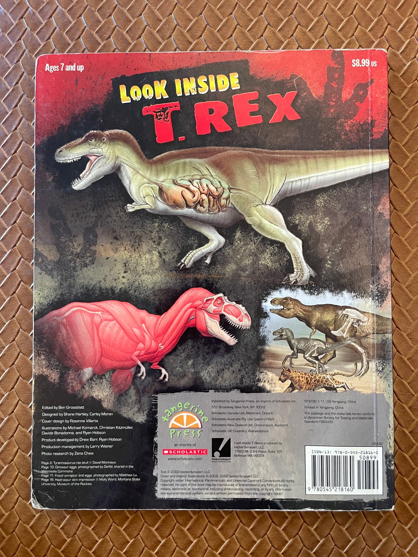 Look Inside T. Rex by Dennis Schatz (Board Book)