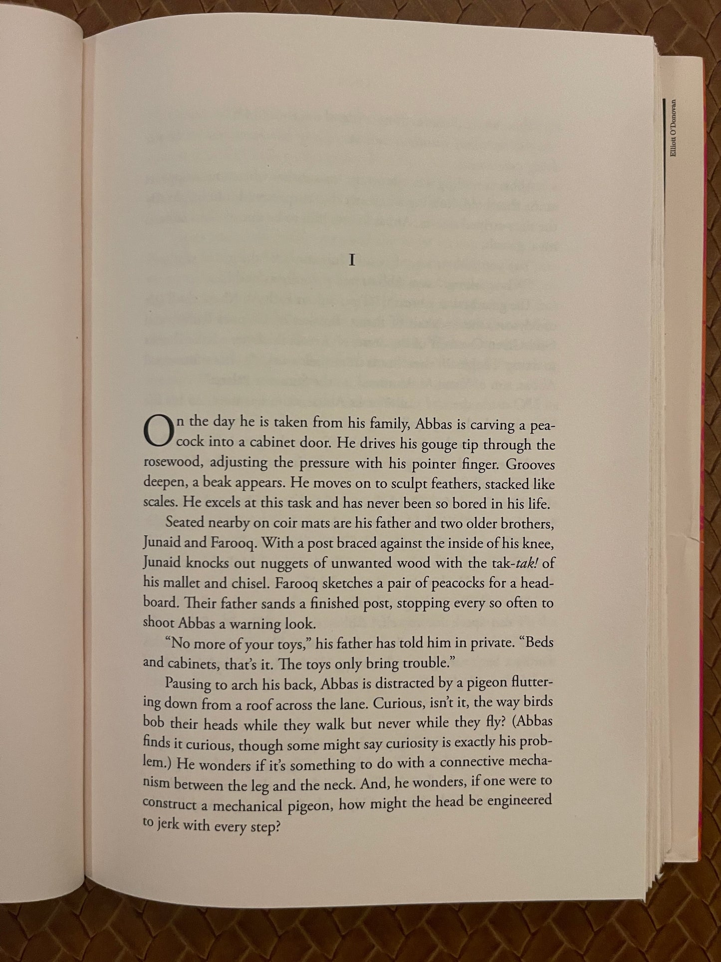 Loot by Tania James (Hardcover)