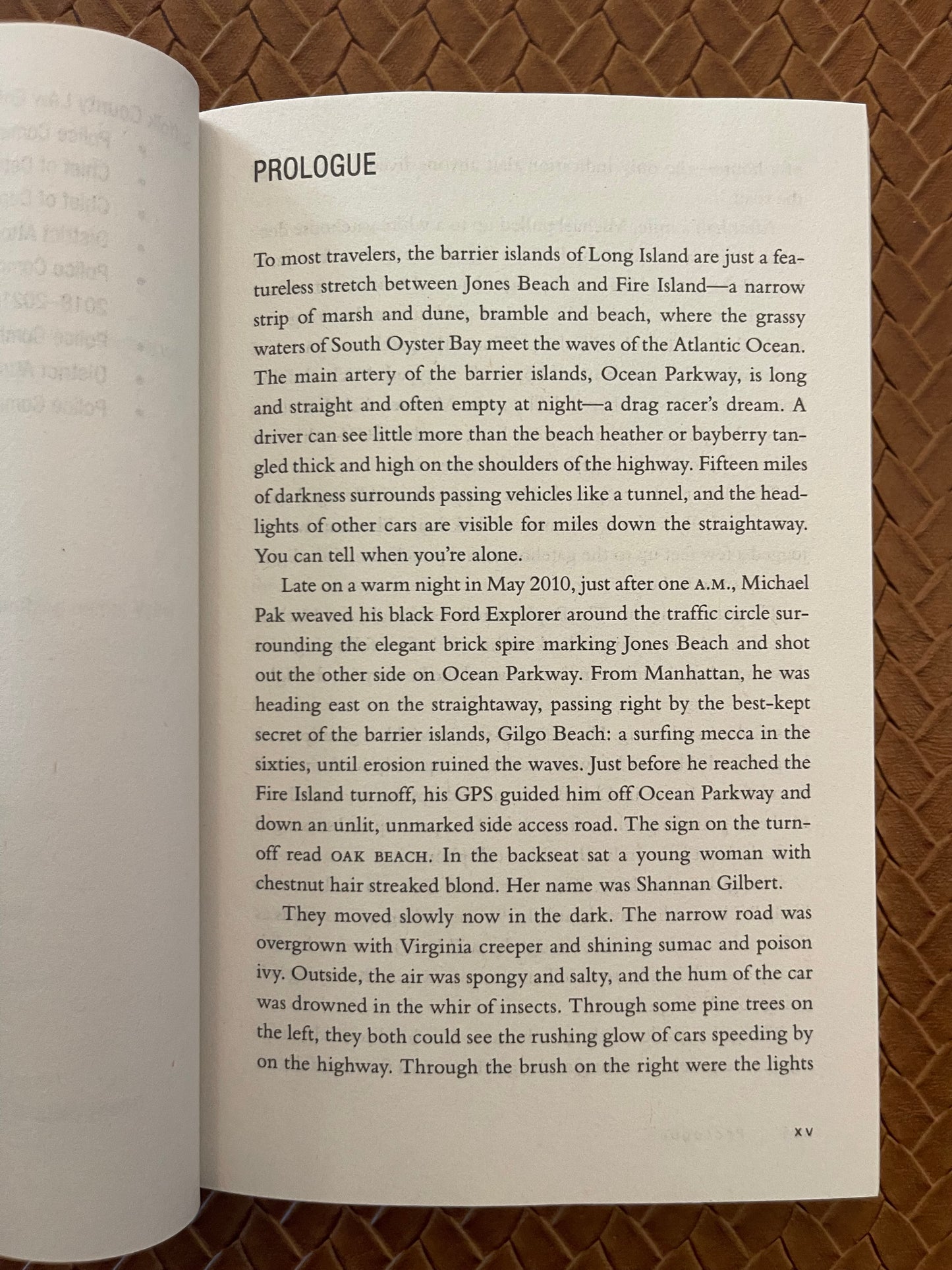 Lost Girls: An American Mystery―An Examination of the Lives of the Victims of the Gilgo Beach Serial Killer – Explore the Story Behind the Case as the Trial Unfolds by Robert Kolker (Paperback)
