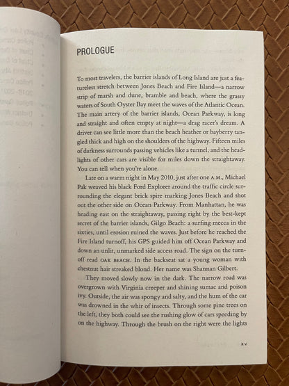 Lost Girls: An American Mystery―An Examination of the Lives of the Victims of the Gilgo Beach Serial Killer – Explore the Story Behind the Case as the Trial Unfolds by Robert Kolker (Paperback)