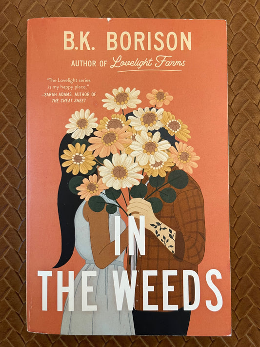 Lovelight Book Set (Books 2-4) by B.K. Borison (Paperback)