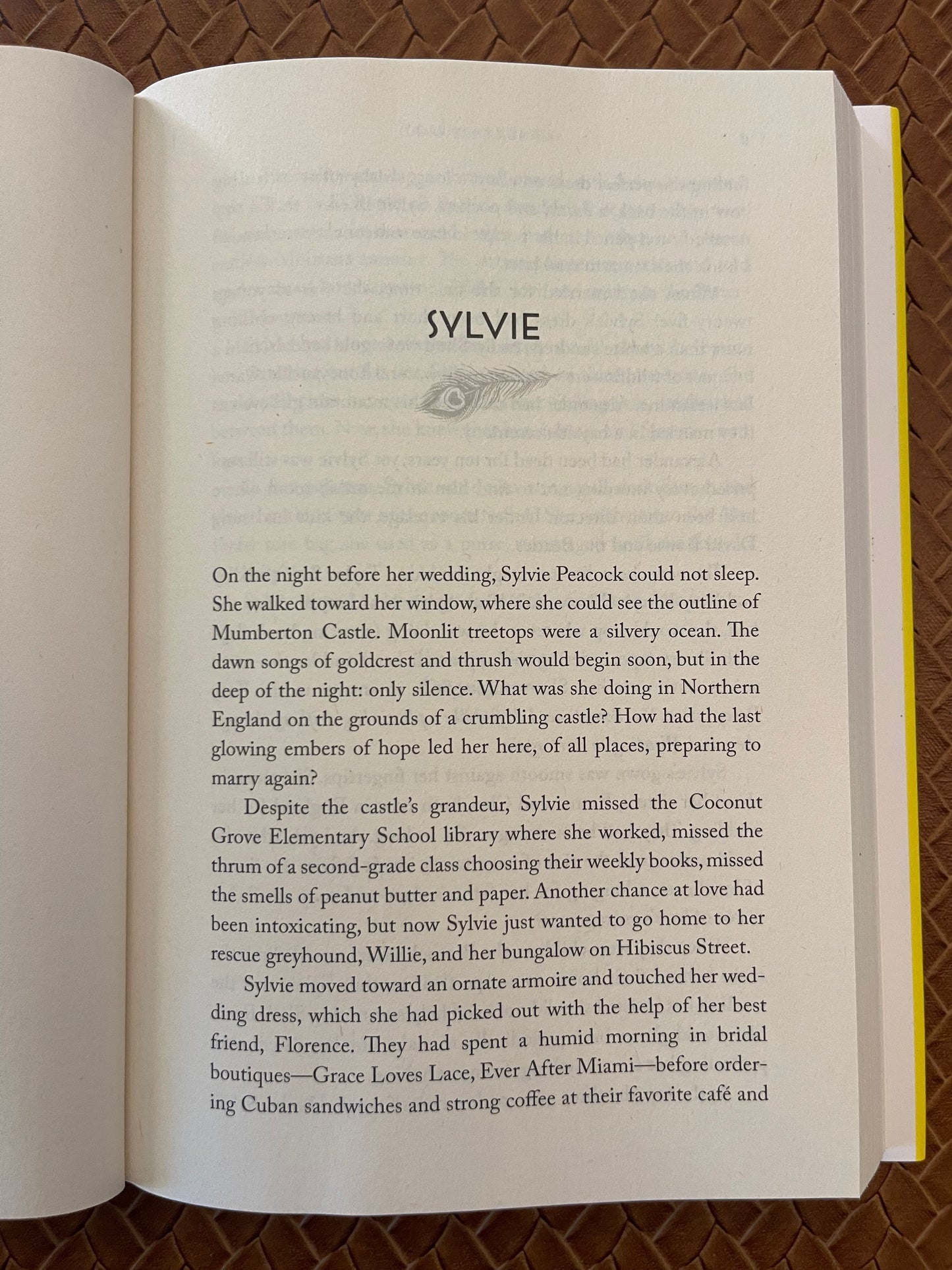 Lovers and Liars: A Novel by Amanda Eyre Ward (Hardcover)