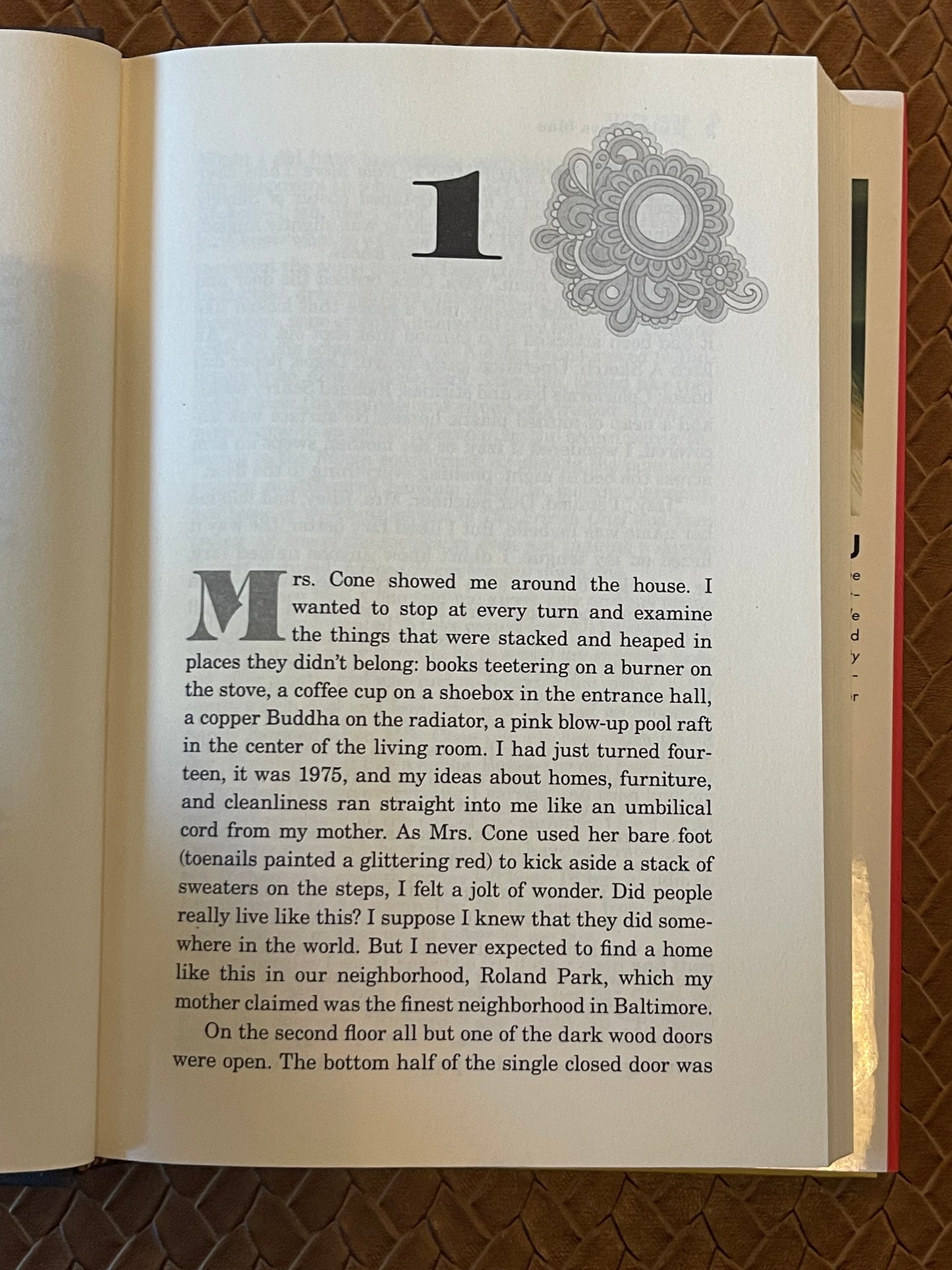 Mary Jane by Jessica Anya Blau (Hardcover)