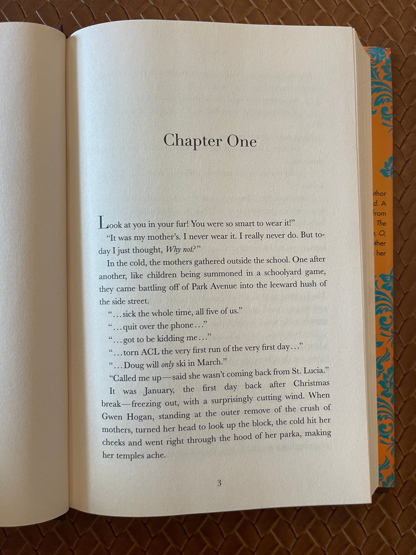Mrs. by Caitlin Macy (Hardcover)