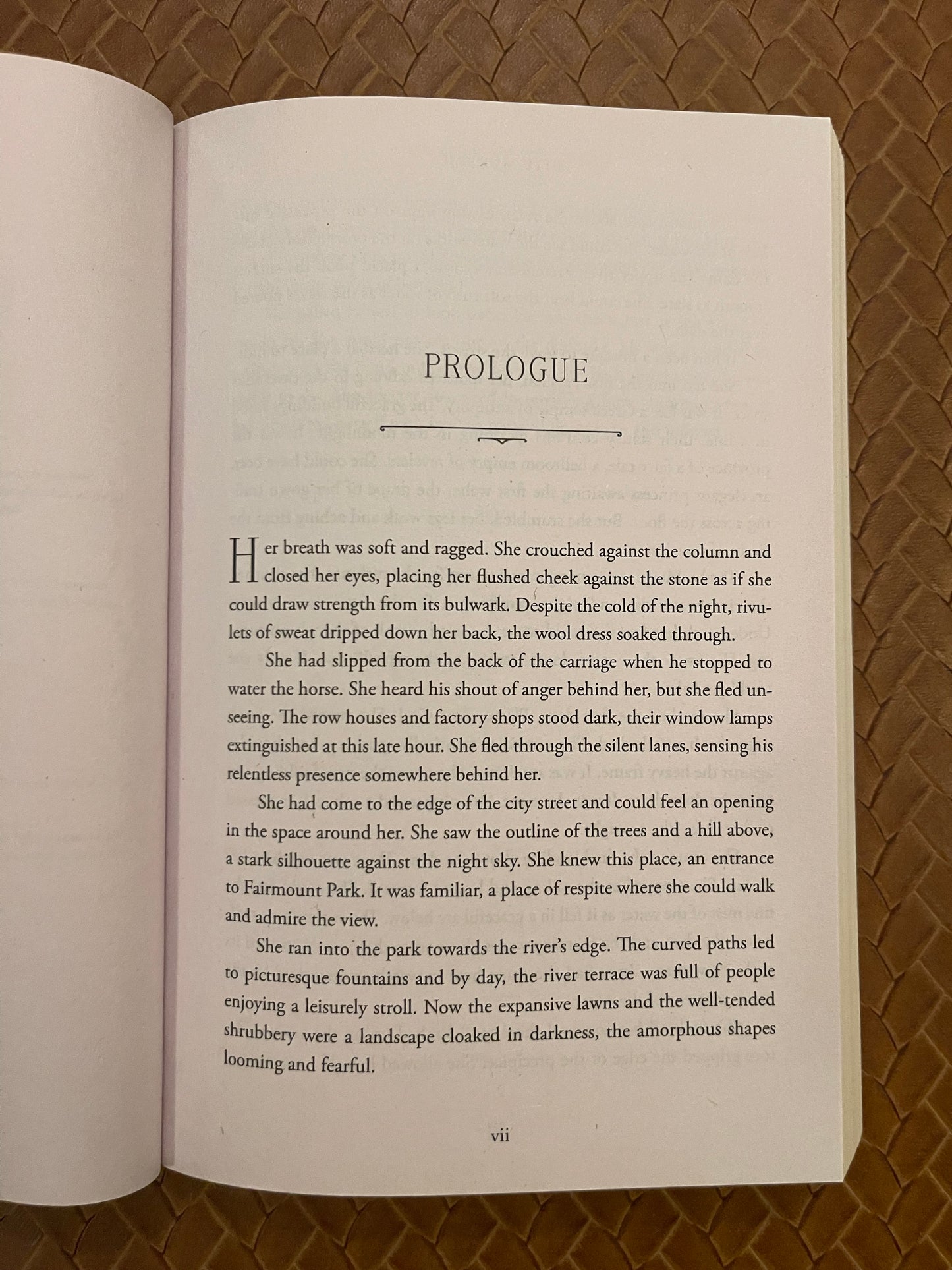 Murder by Degrees: A Mystery by Ritu Mukerji