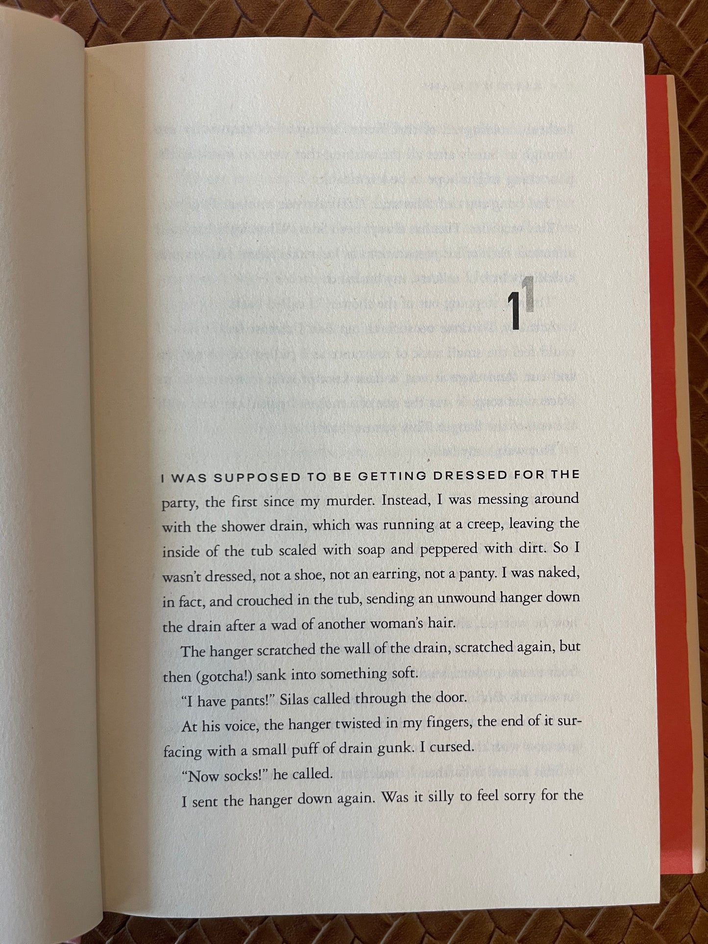 My Murder: A Novel by Katie Williams (Hardcover)