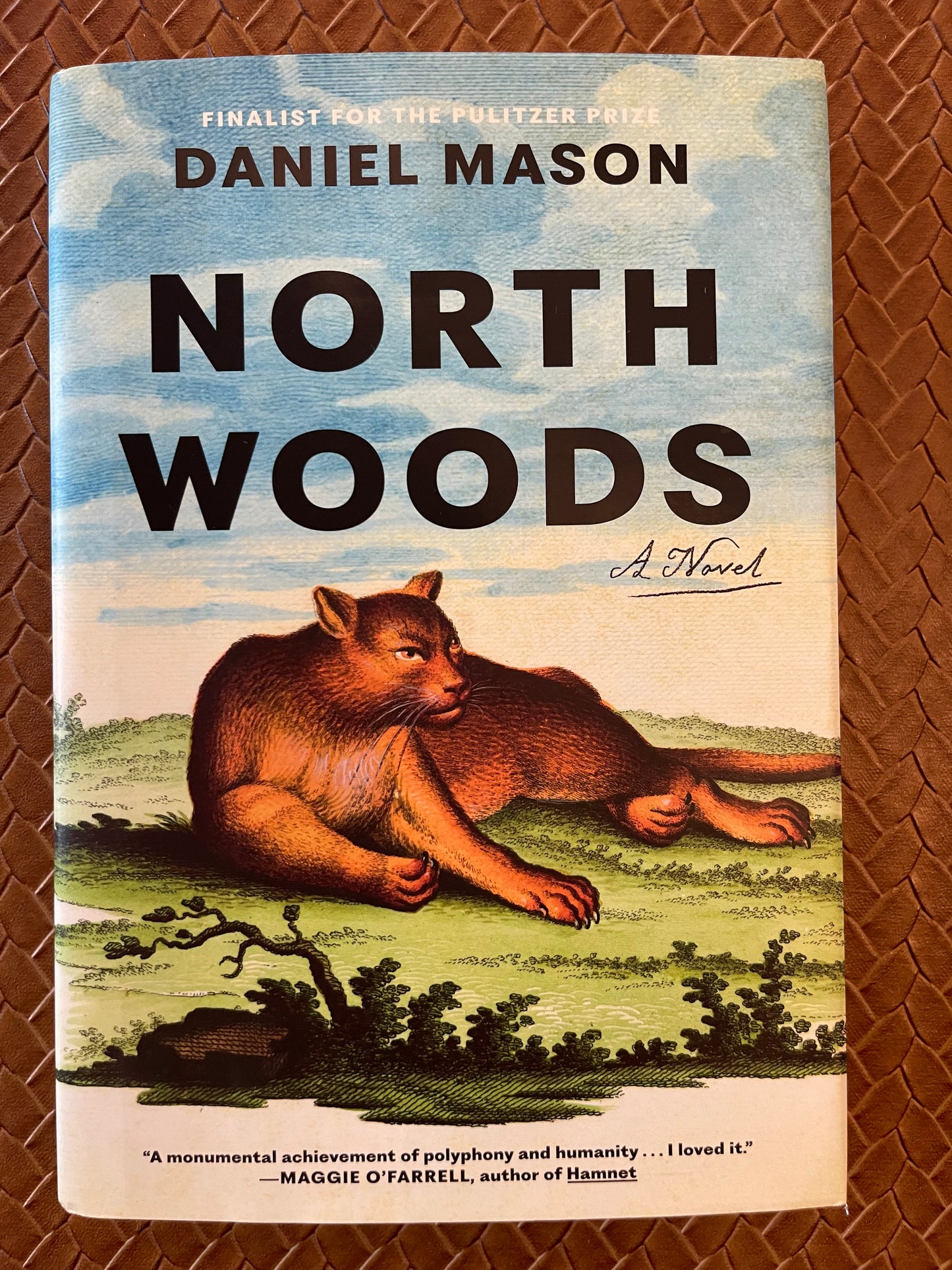 North Woods by Daniel Mason (Hardcover)