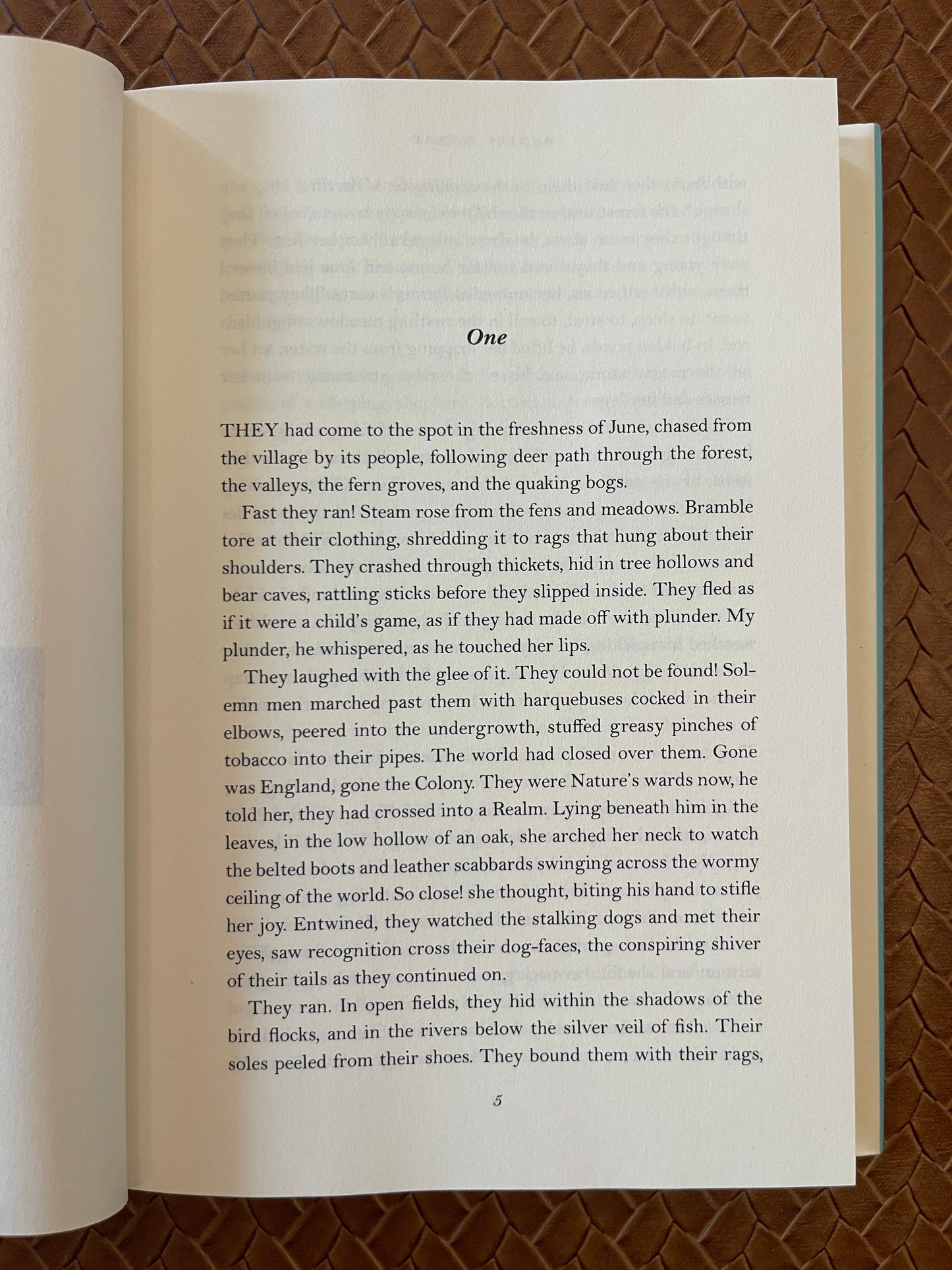 North Woods by Daniel Mason (Hardcover)
