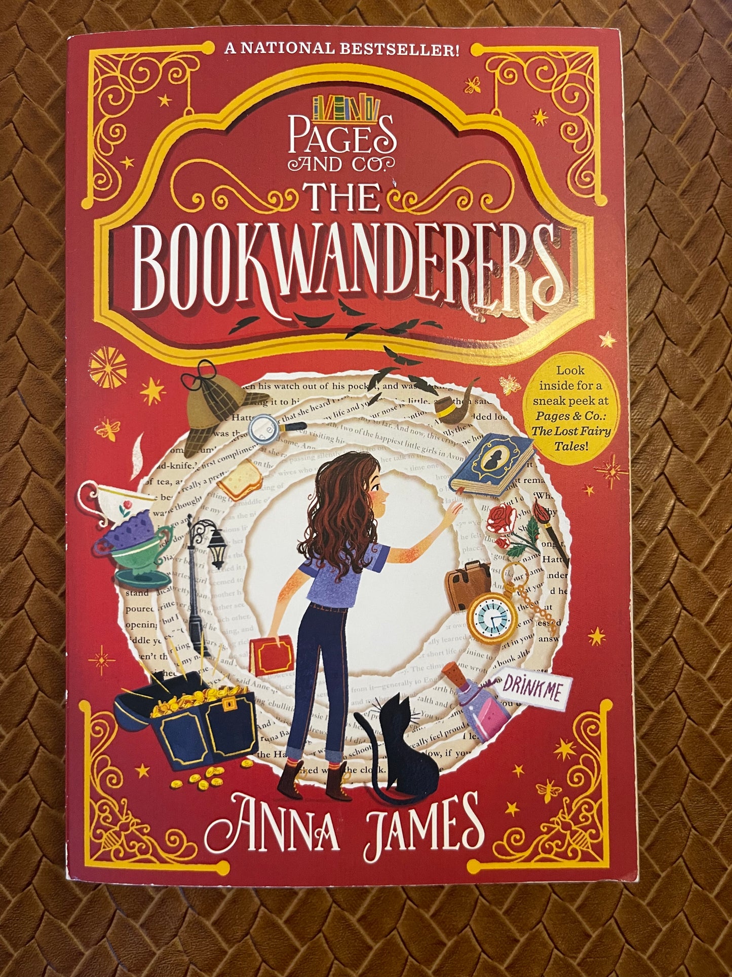 Pages & Co. #1: The Bookwanderers by Anna James, Paola Escobar (Paperback)