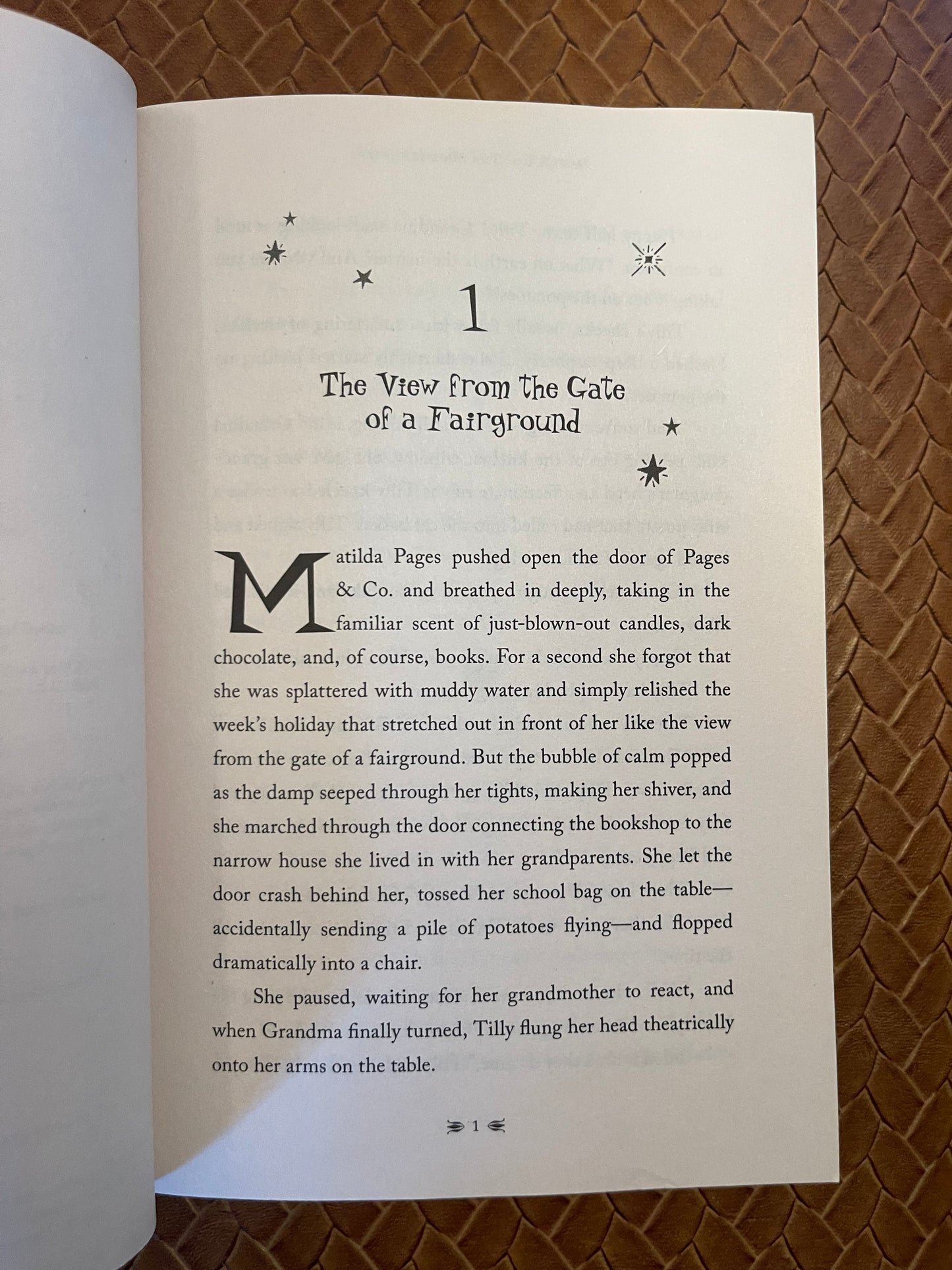 Pages & Co. #1: The Bookwanderers by Anna James, Paola Escobar (Paperback)