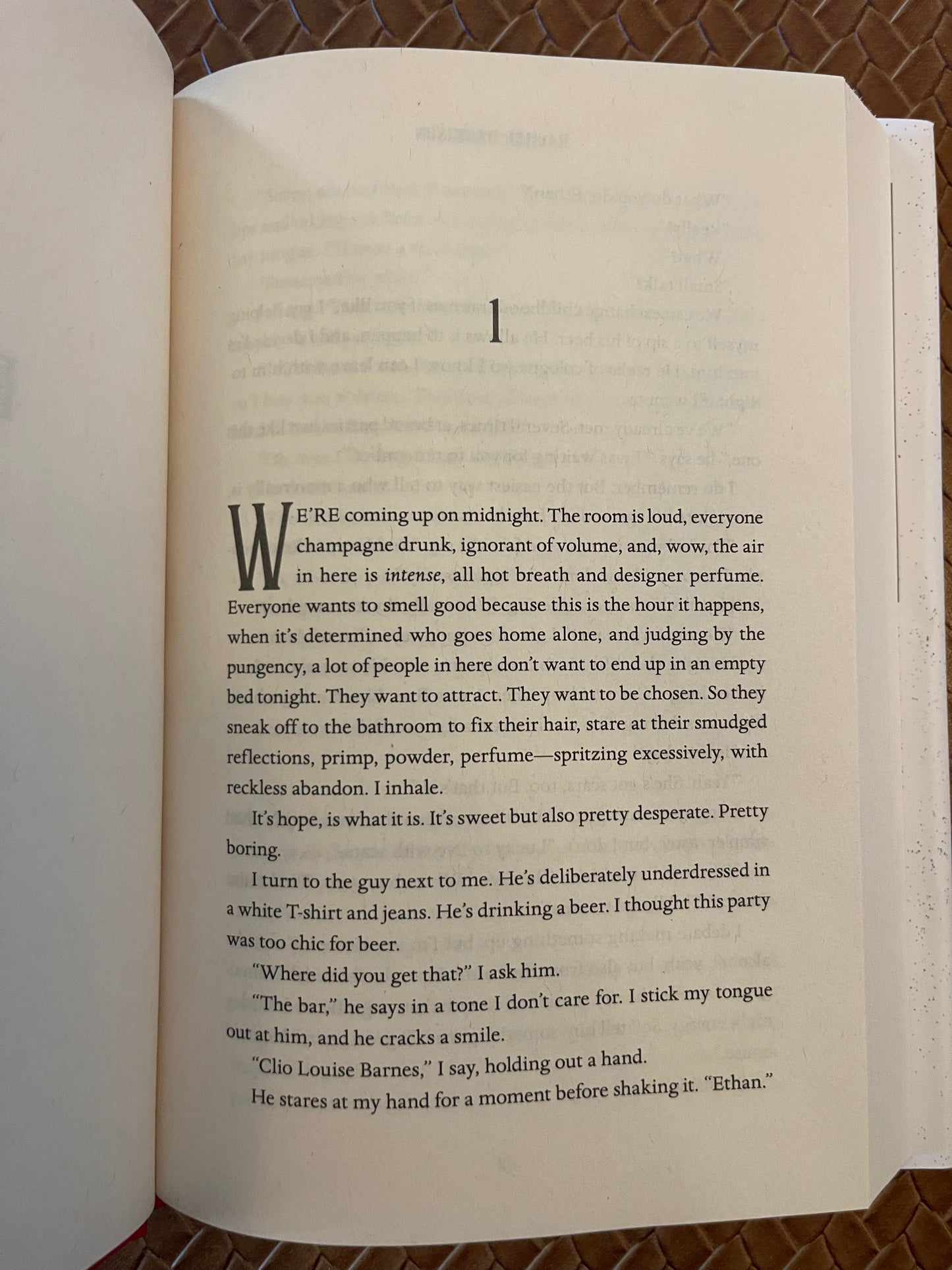 Play Nice by Rachel Harrison (Hardcover)