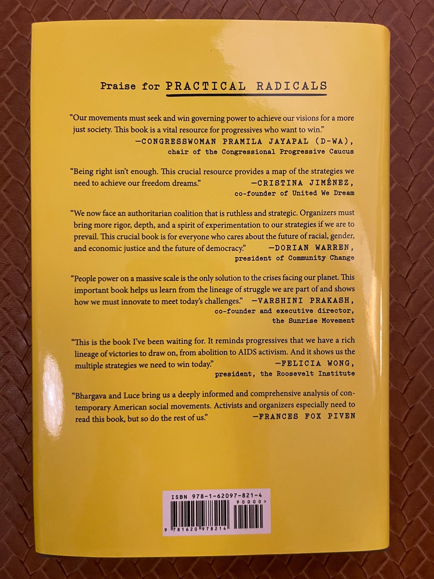 Practical Radicals: Seven Strategies to Change the World by Deepak Bhargava, Stephanie Luce (Hardcover)