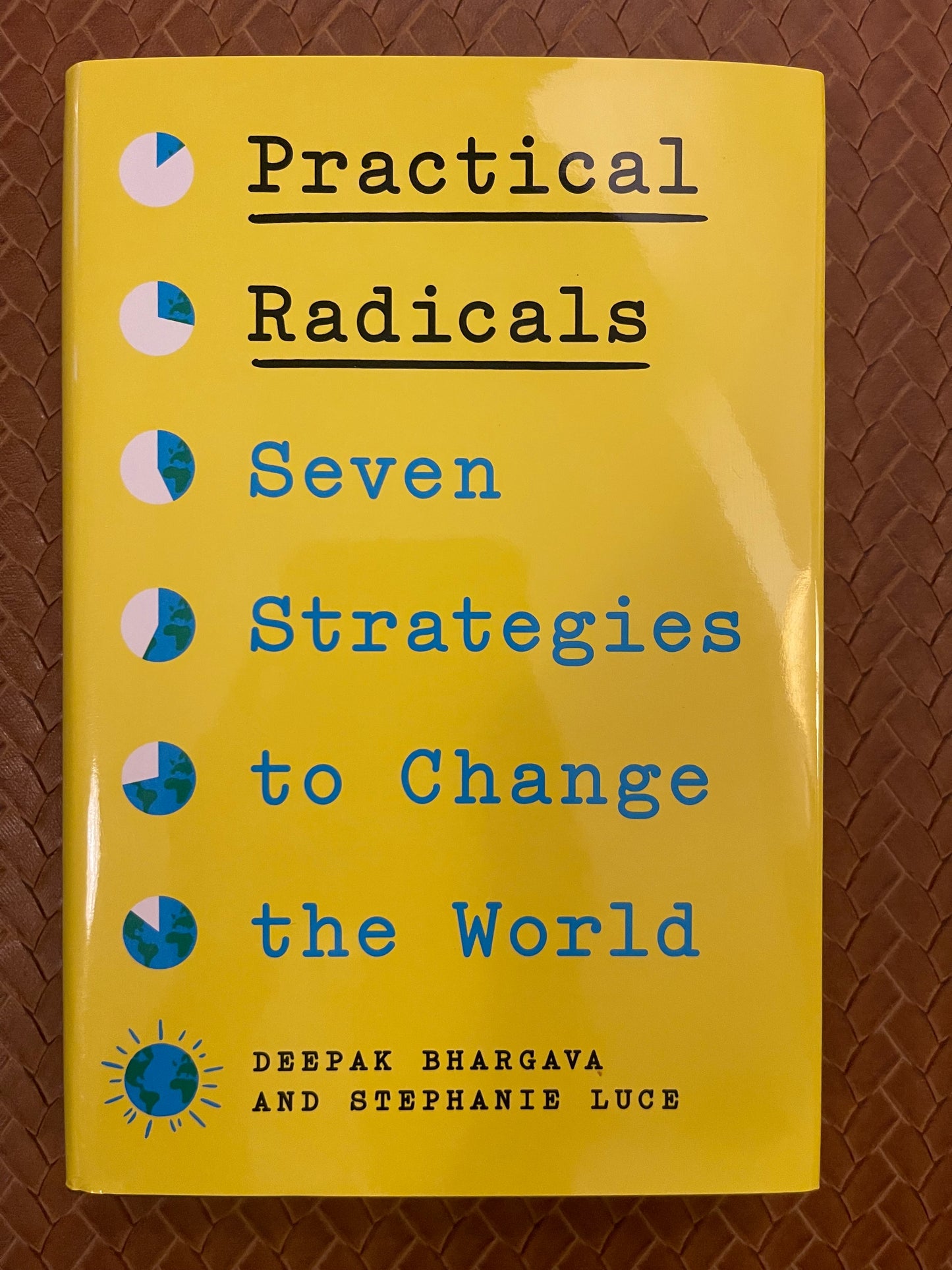 Practical Radicals: Seven Strategies to Change the World by Deepak Bhargava, Stephanie Luce (Hardcover)