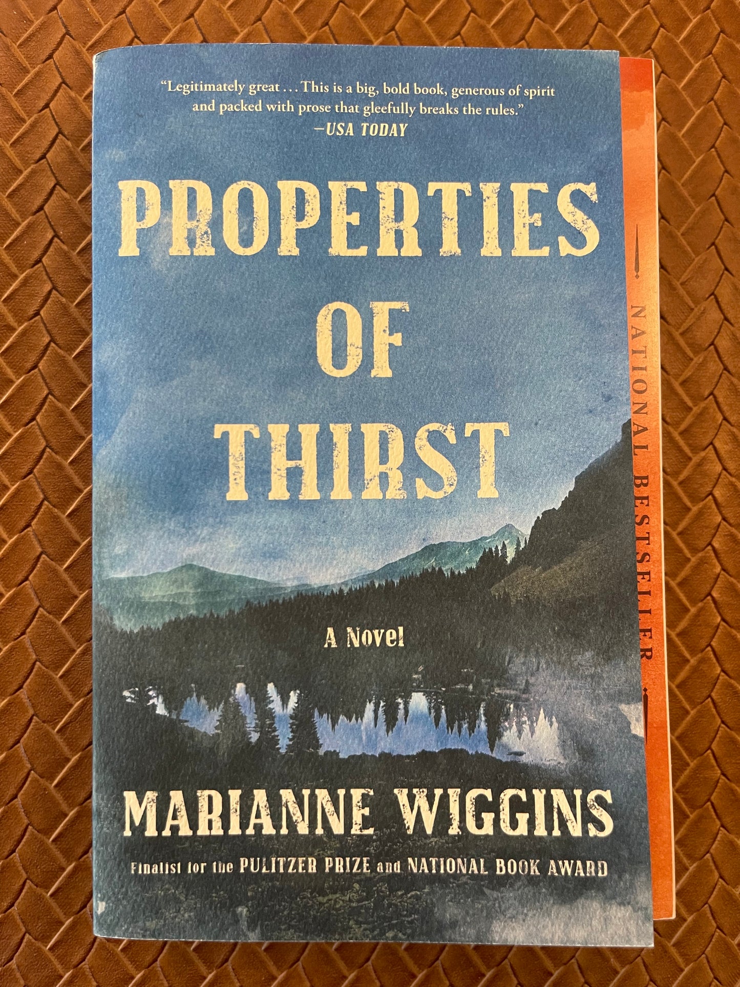 Properties of Thirst by Marianne Wiggins (Paperback)