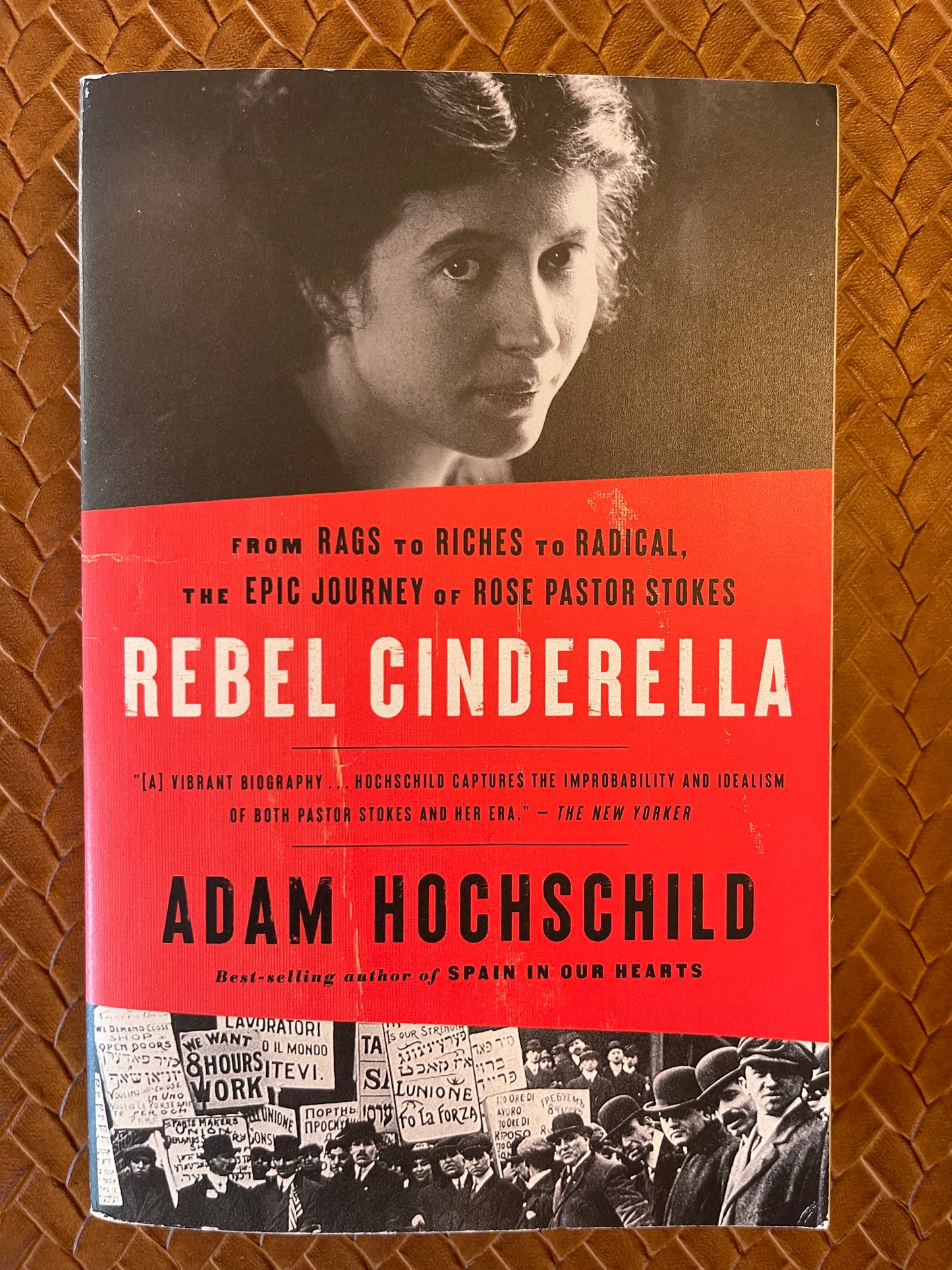 Rebel Cinderella: From Rags to Riches to Radical, the Epic Journey of Rose Pastor Stokes by Adam Hochschild (Paperback)