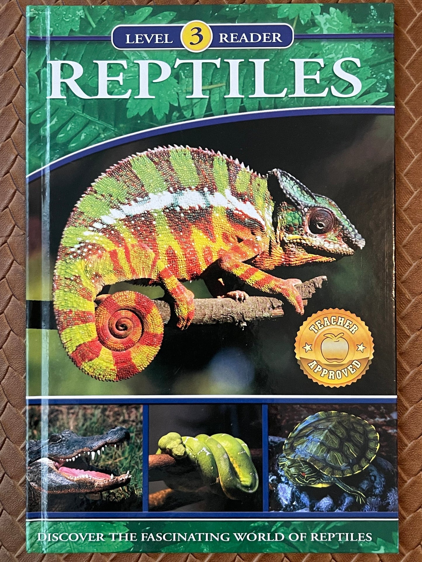 Reptiles: Discover the Fascinating World of Reptiles by The Clever Factory