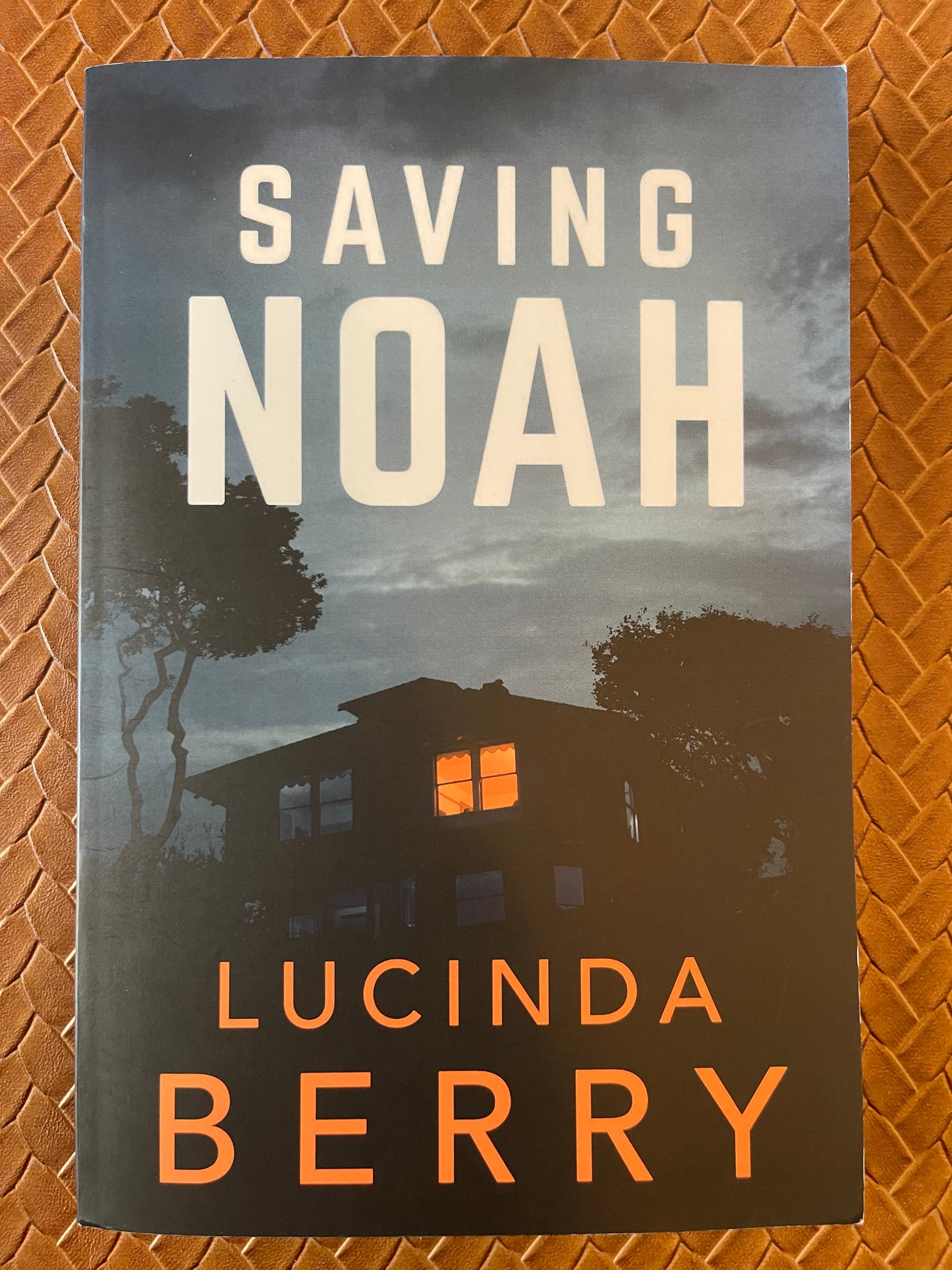 Saving Noah by Lucinda Berry (Paperback)