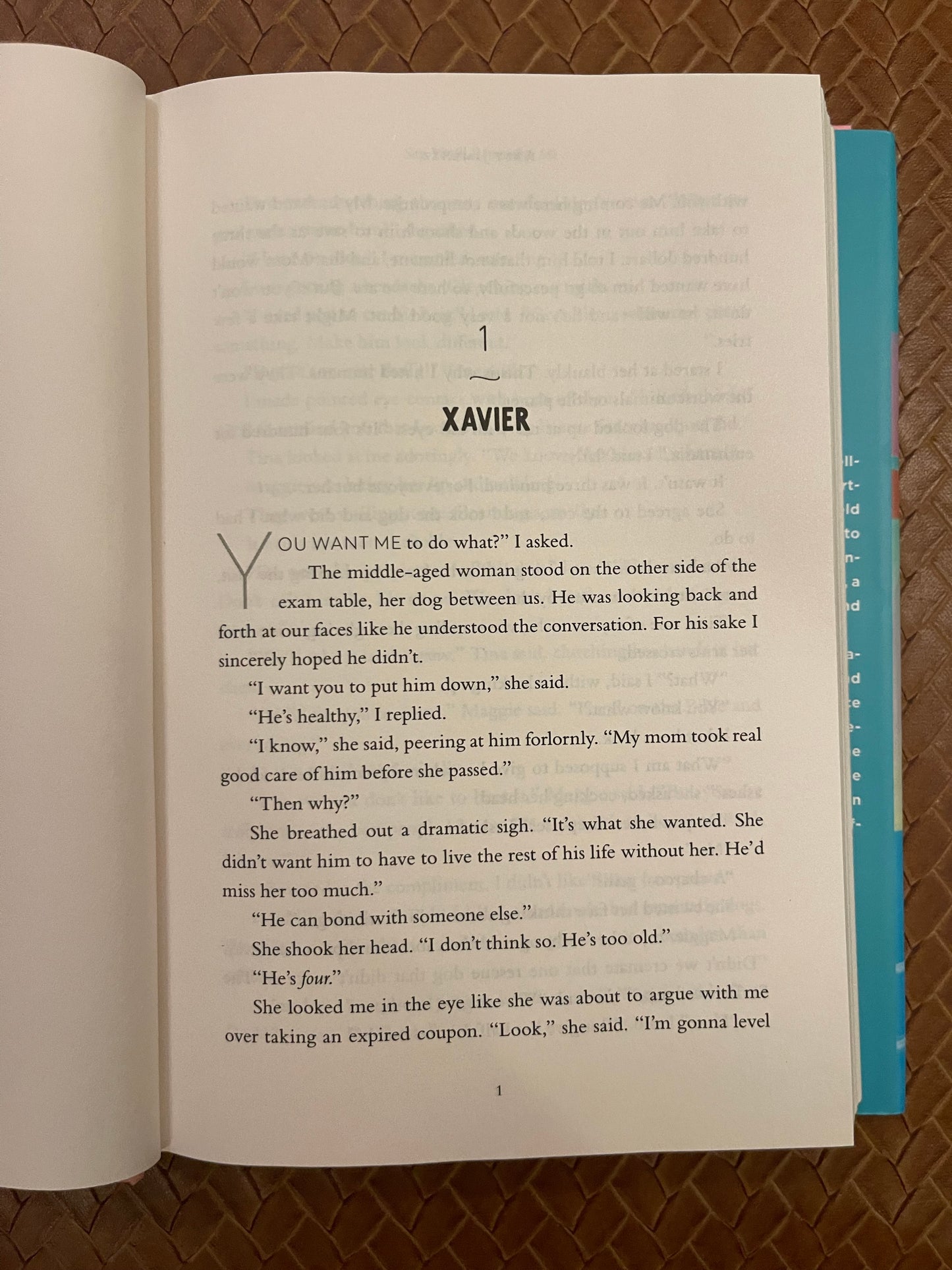 Say You'll Remember Me #1: Say You'll Remember Me by Abby Jimene (Hardcover)