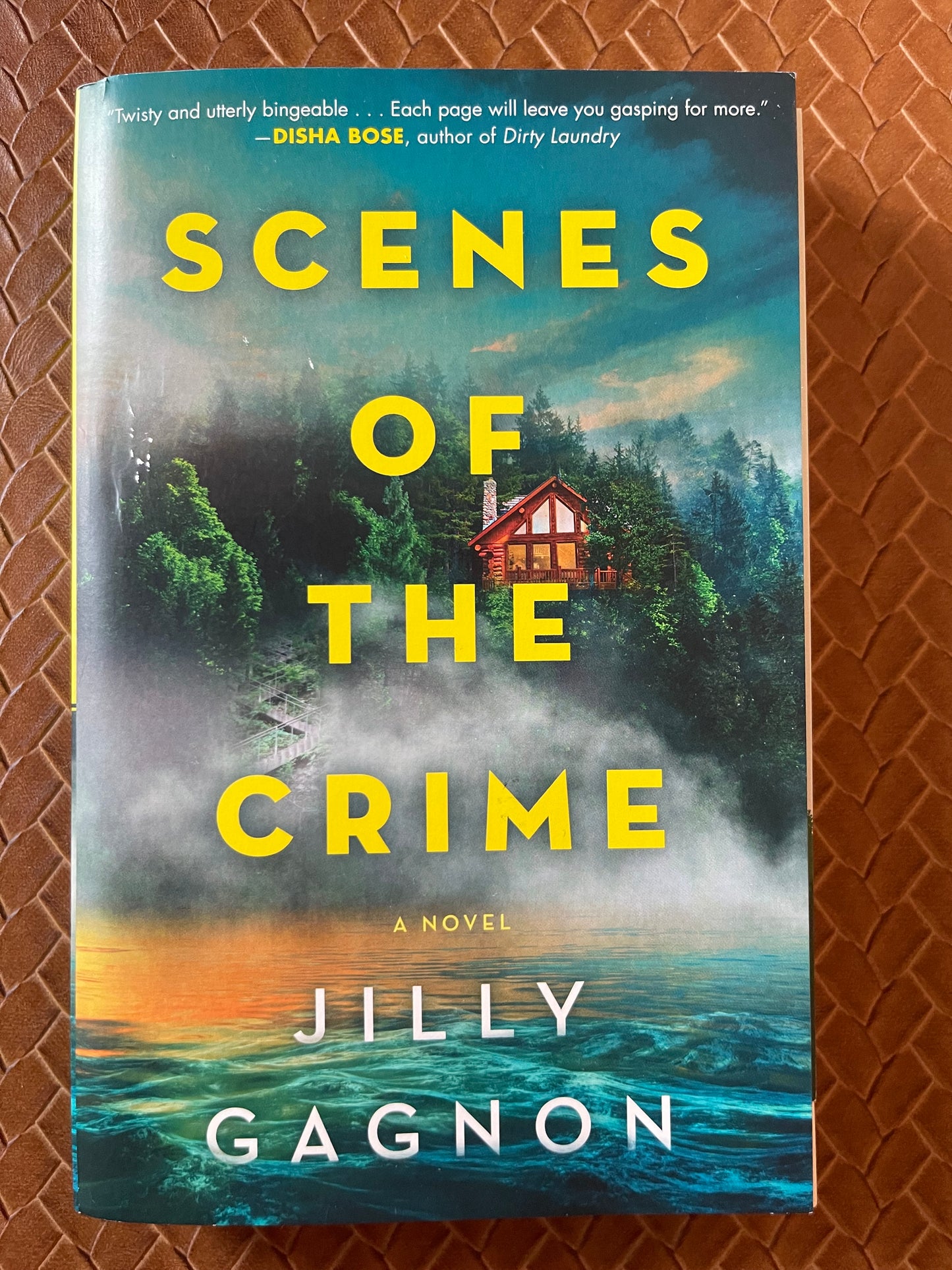 Scenes of the Crime: A Novel by Jilly Gagnon (Paperback)