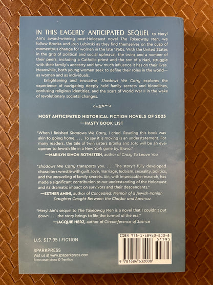 Shadows We Carry by Meryl Ain (Paperback)